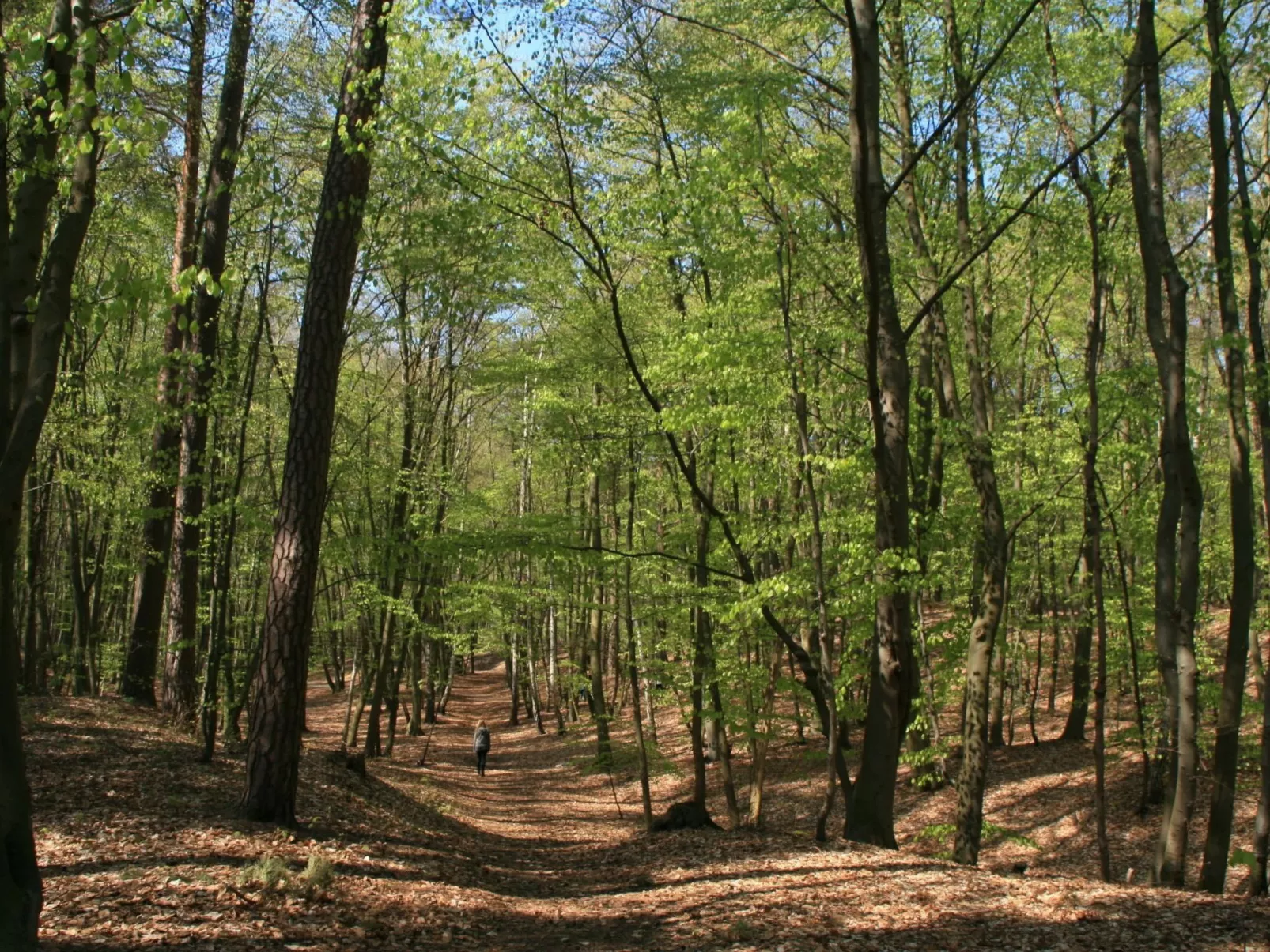 Fewo Waldblick EG-Image-tags.info