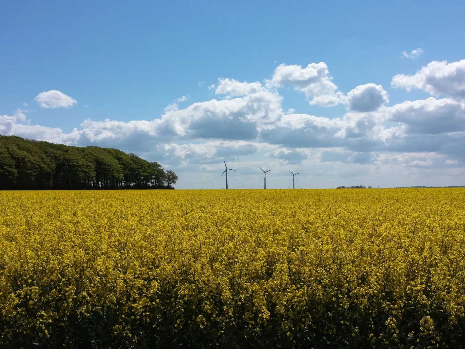 Ankerplatz in Börgerende-Rethwisch-Buiten