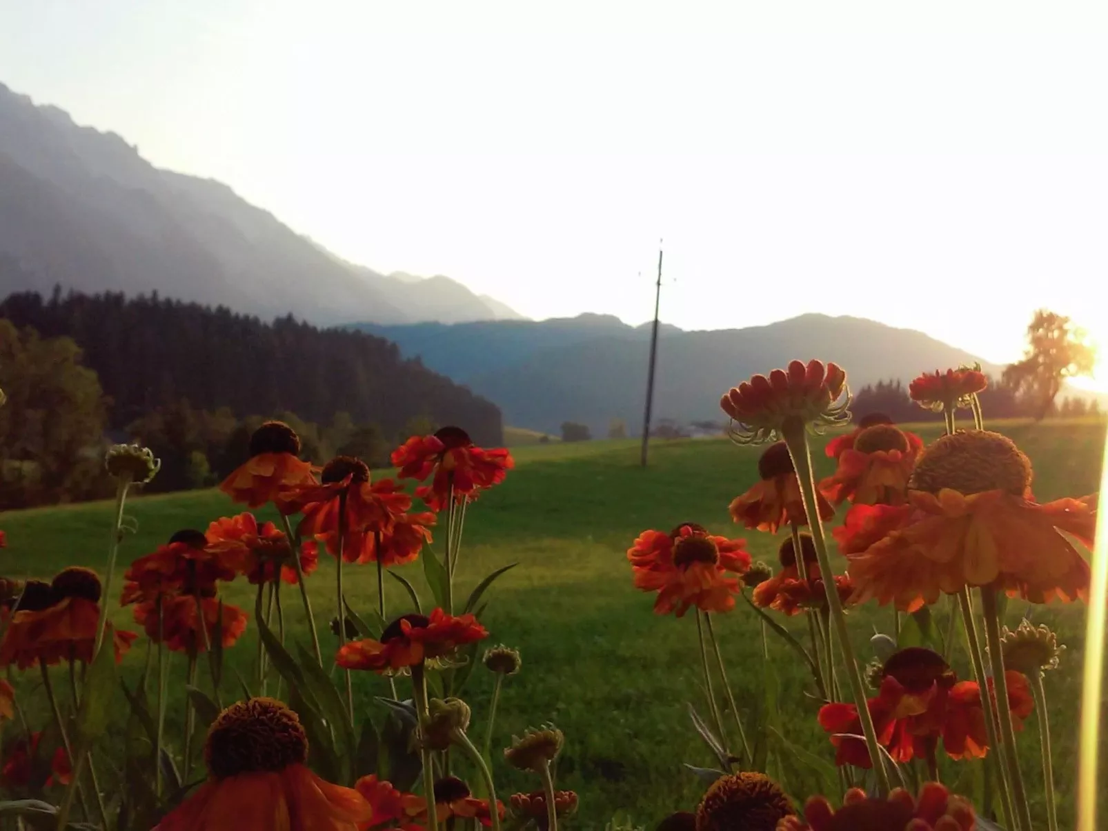 Gsenger Natur in Abtenau-Image-tags.info