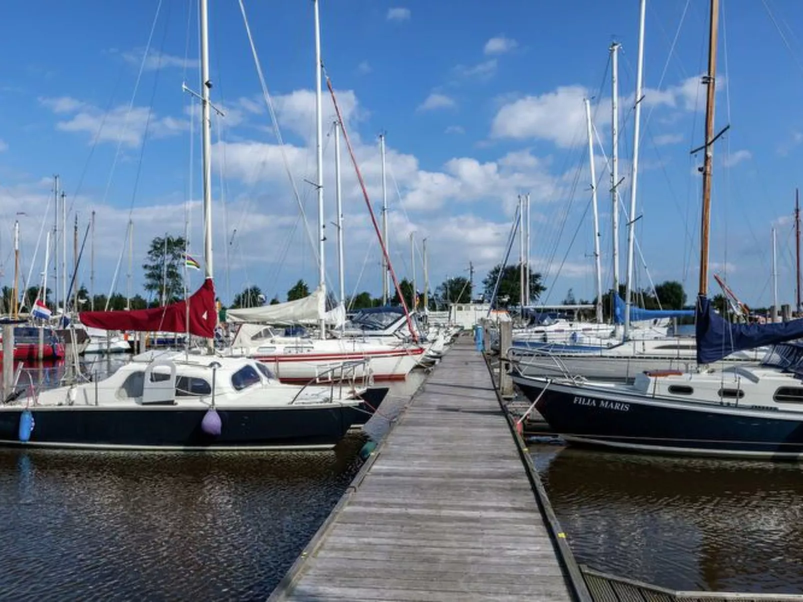 "Der Austernfischer"-Image-tags.info