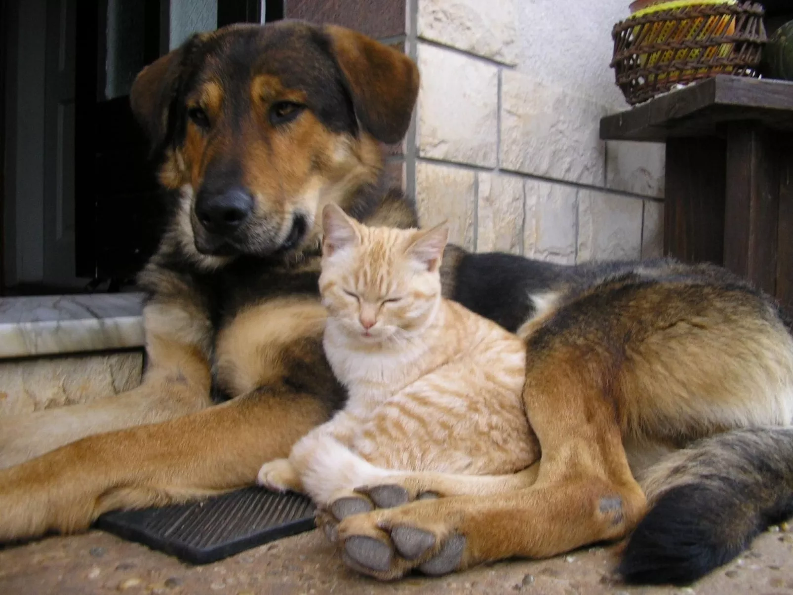 Mit Balkon und Terrasse-Image-tags.info