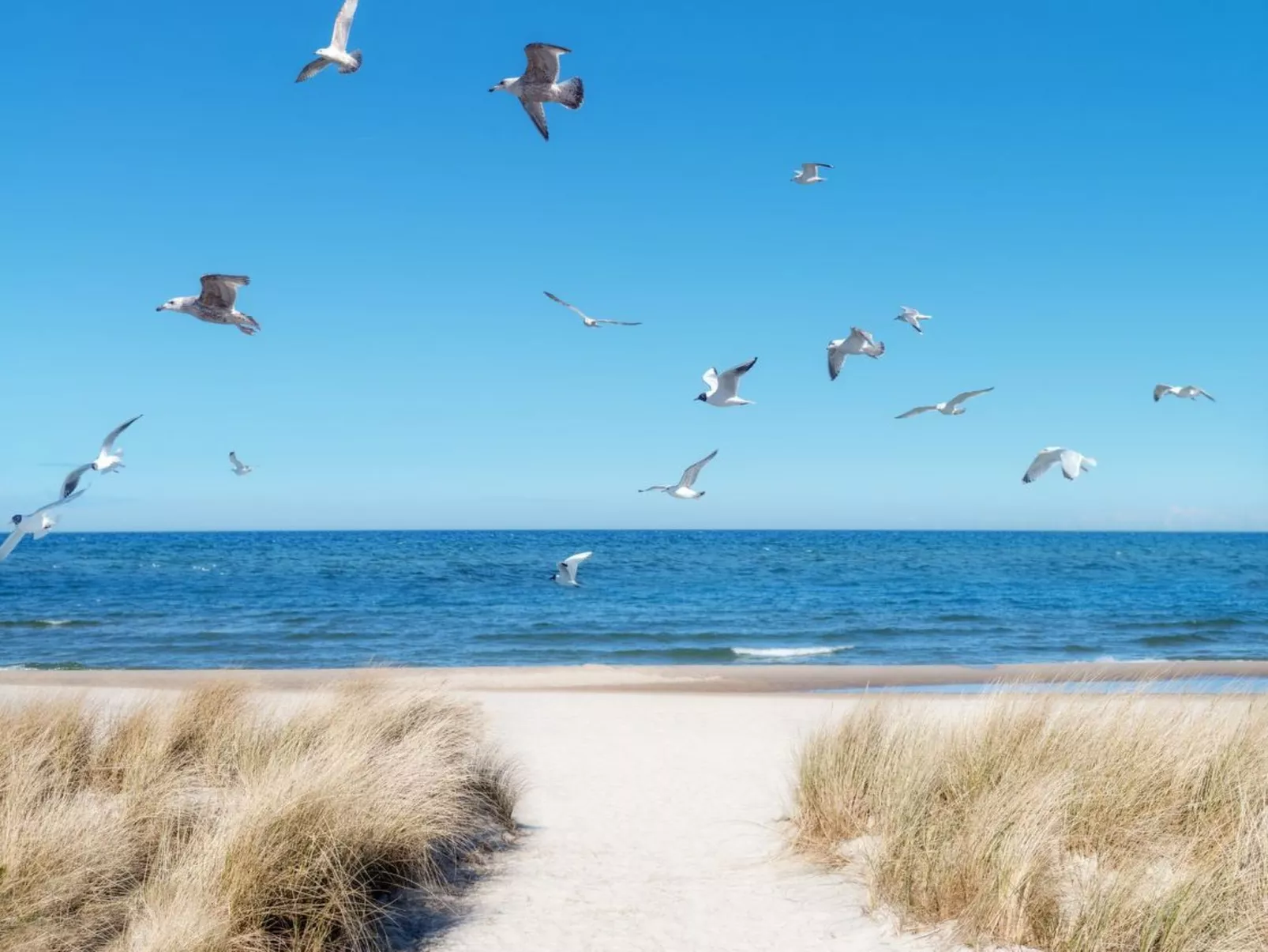 Dat Lütje 516-Binnen