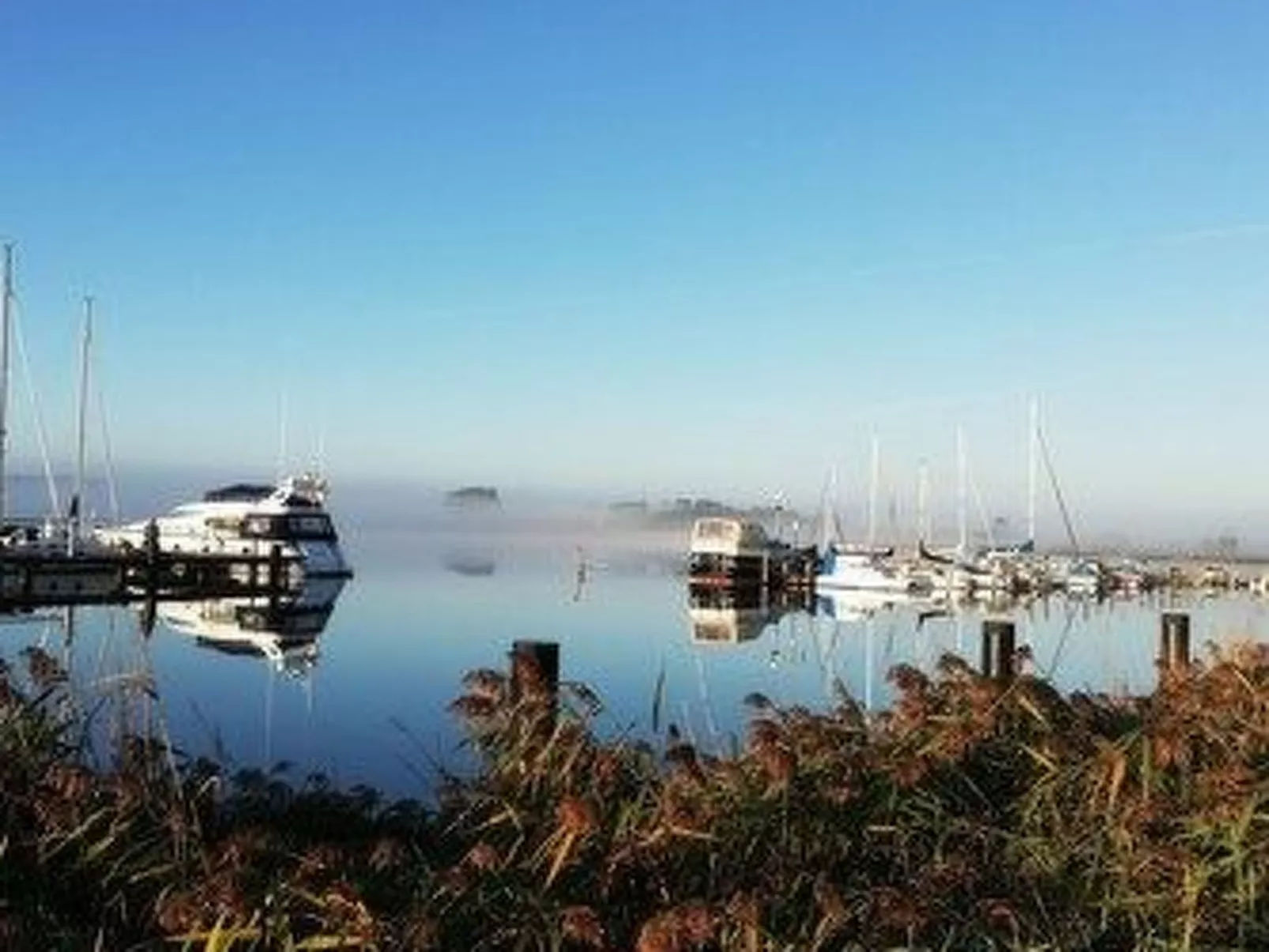 Ferienbungalow mit Terrasse und Seeblick in Sellin-Image-tags.info