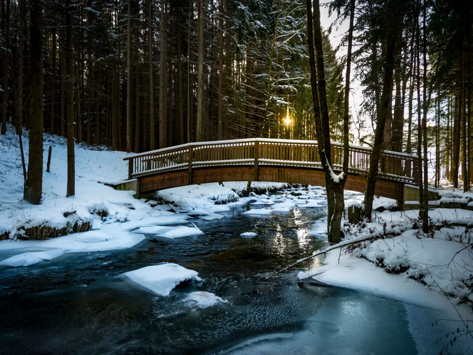 EXKLUSIVE FERIENWOHNUNG MIT EIGENER SAUNA-Buiten