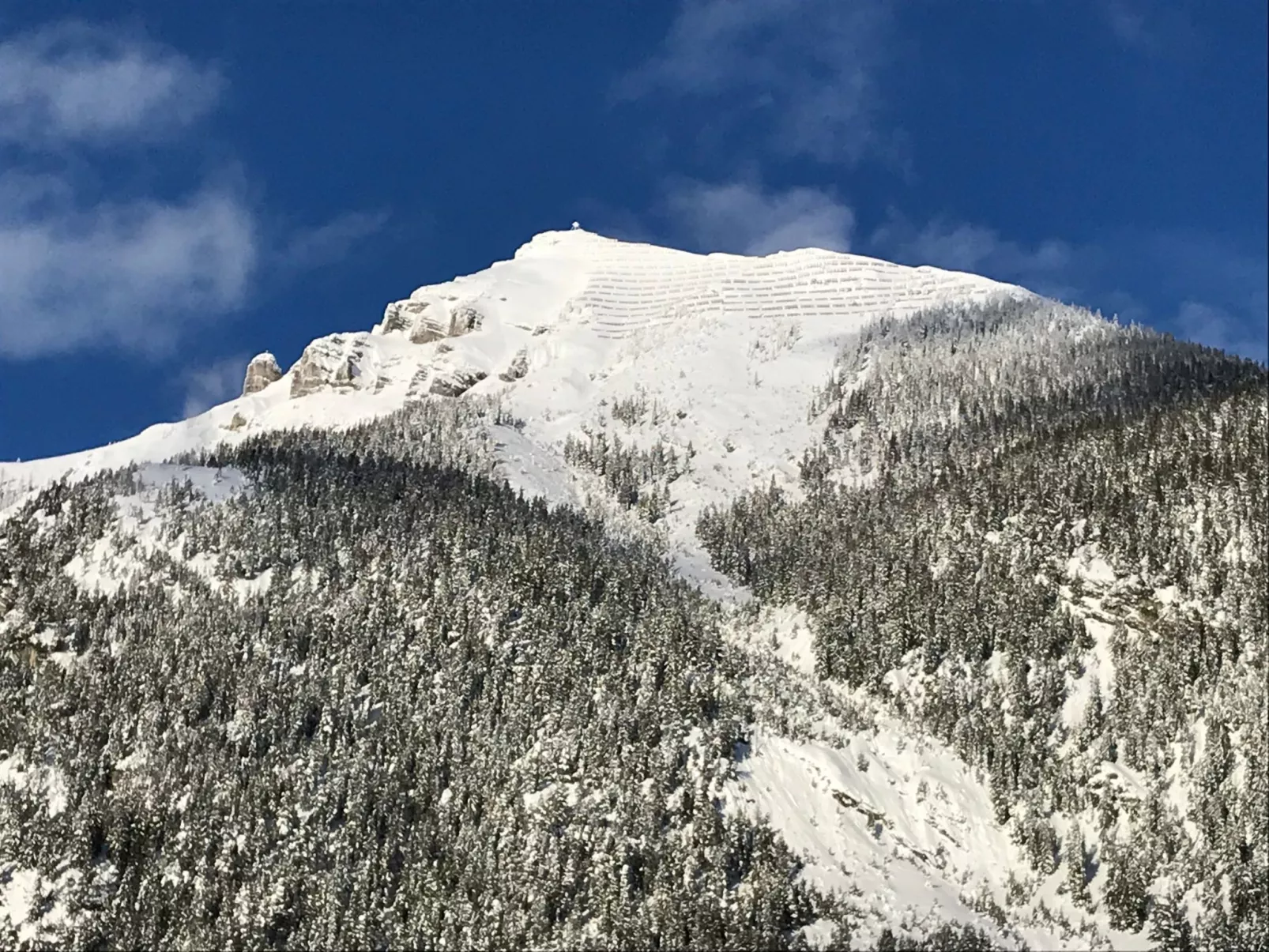 Pony-Ziegen-Hasen-Ranch in Bichlbach-Image-tags.info