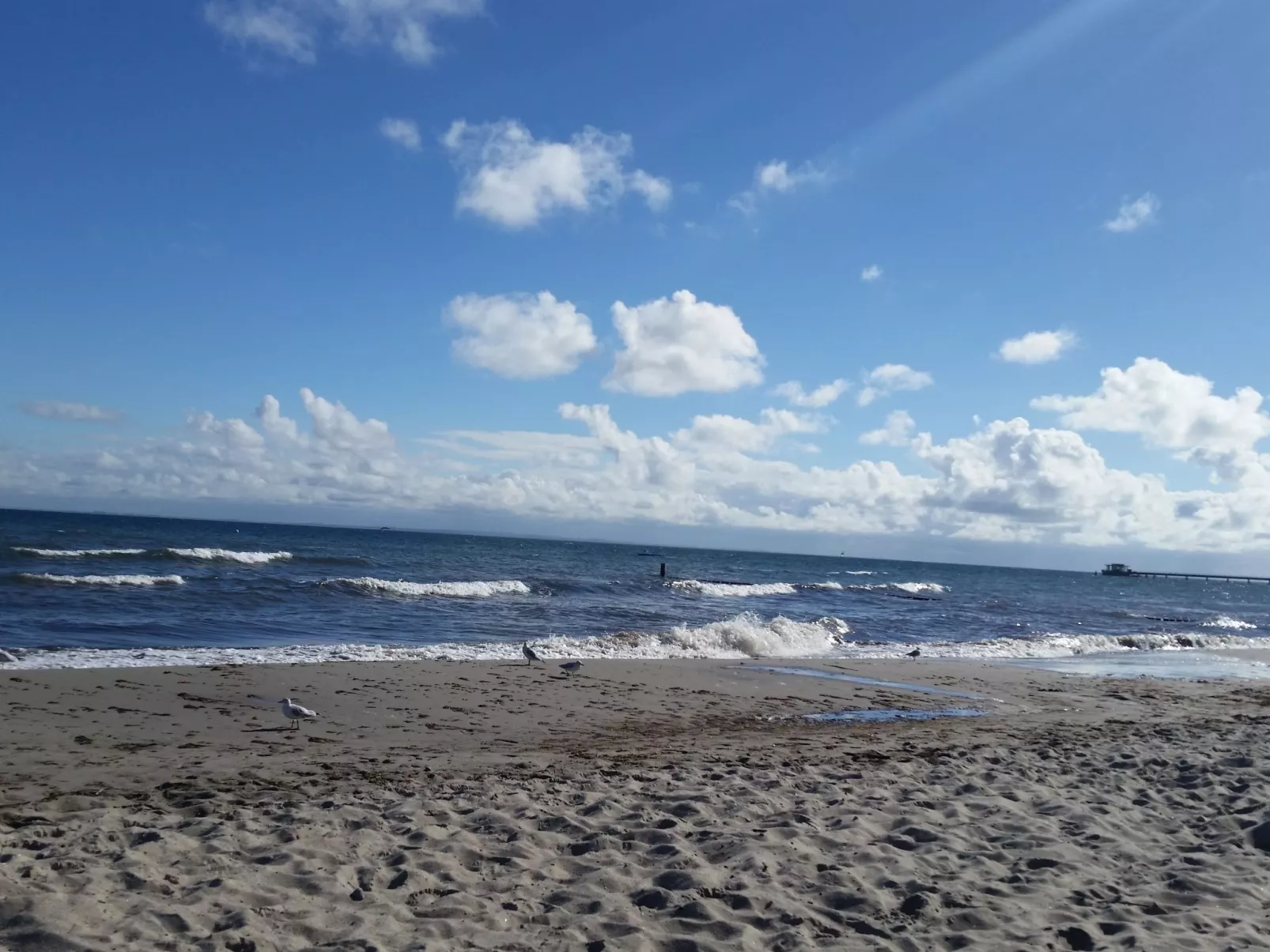 U2 Schlehenkoppel 5-Image-tags.info