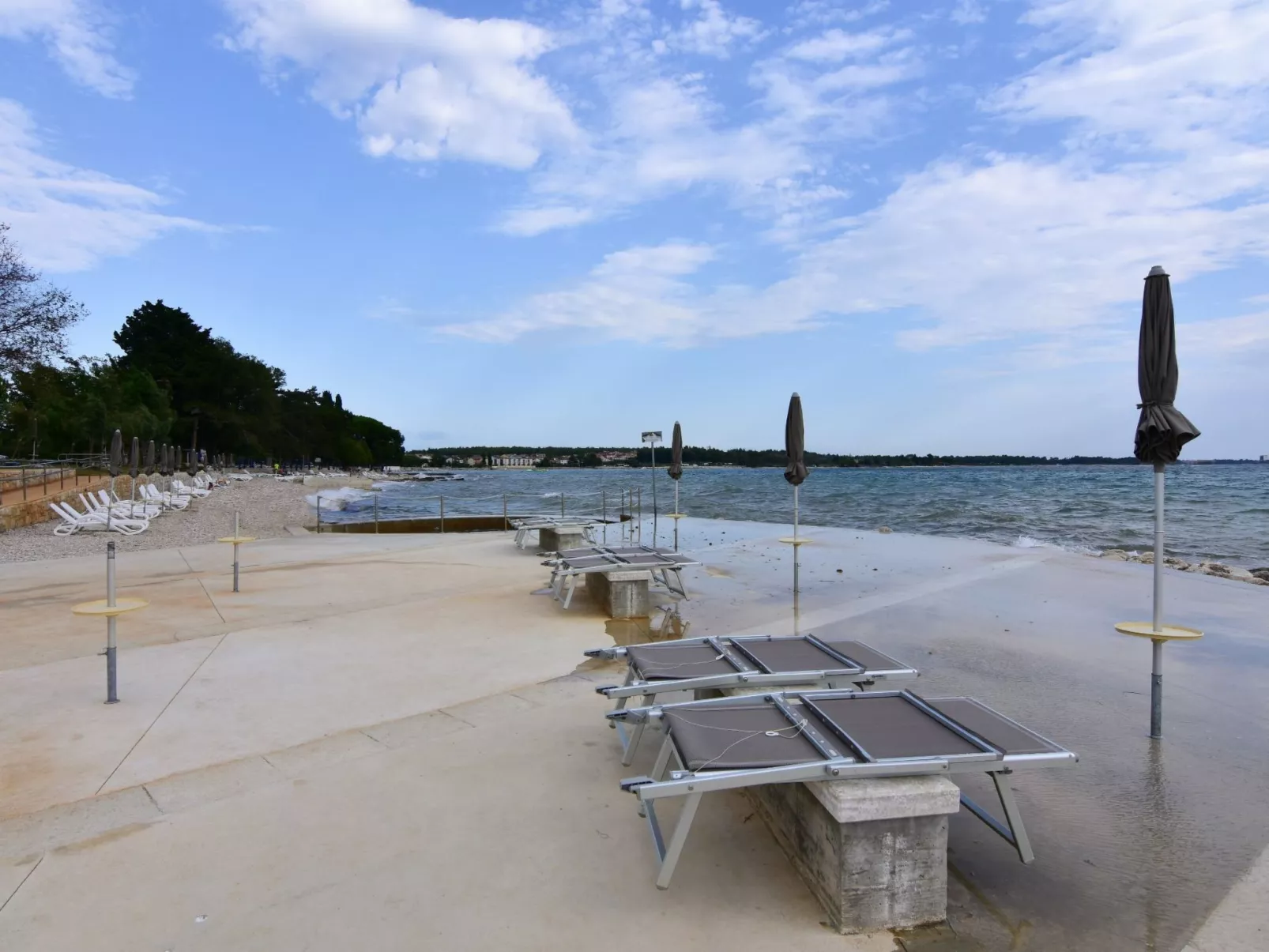 Vesna Peovic-Image-tags.info