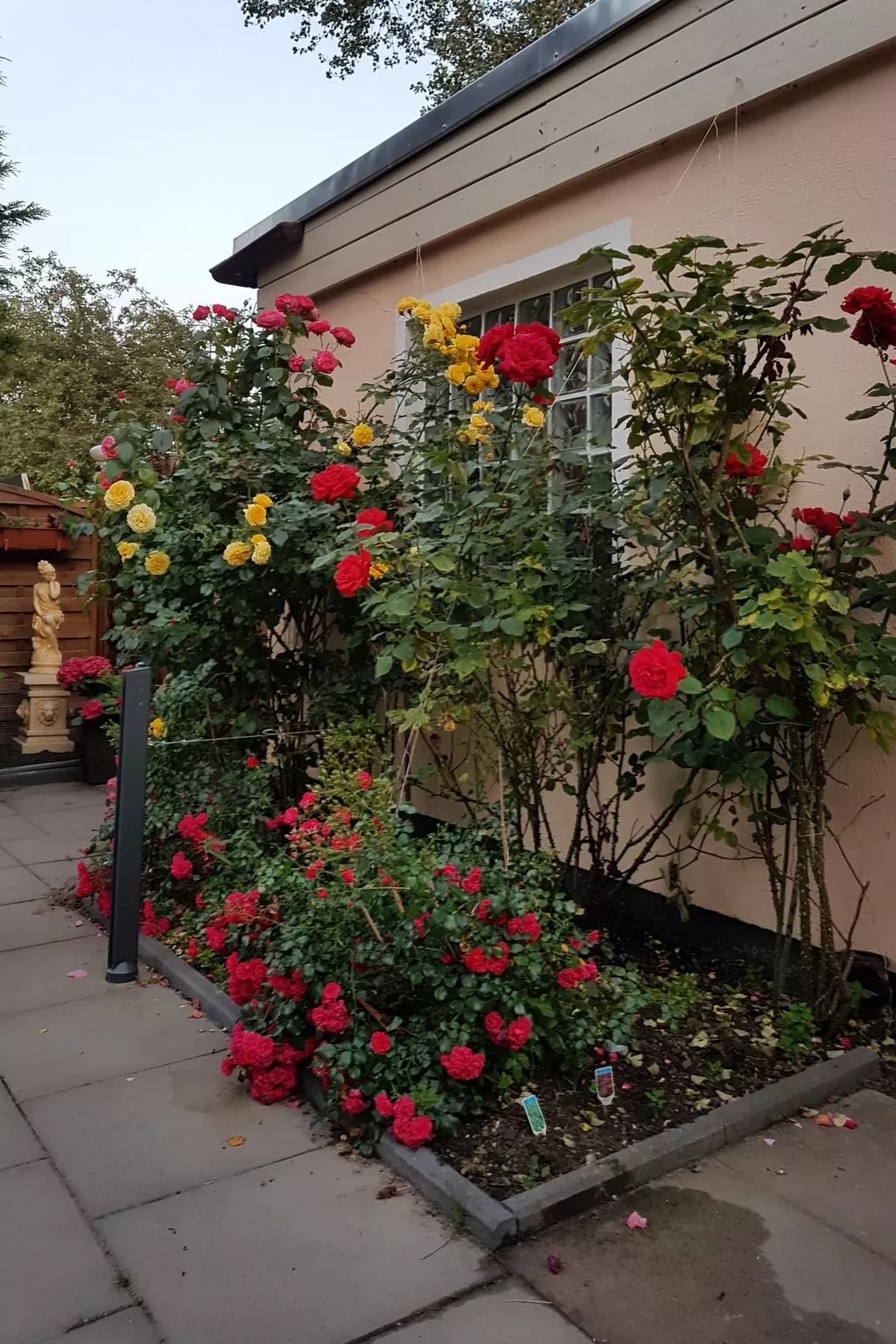 Cap Formentor - Buiten