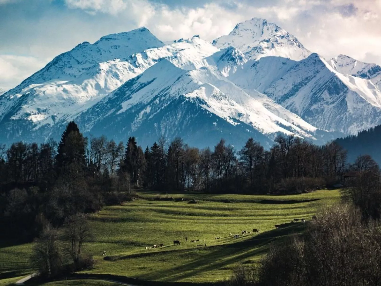 Casa Campanula-Buiten