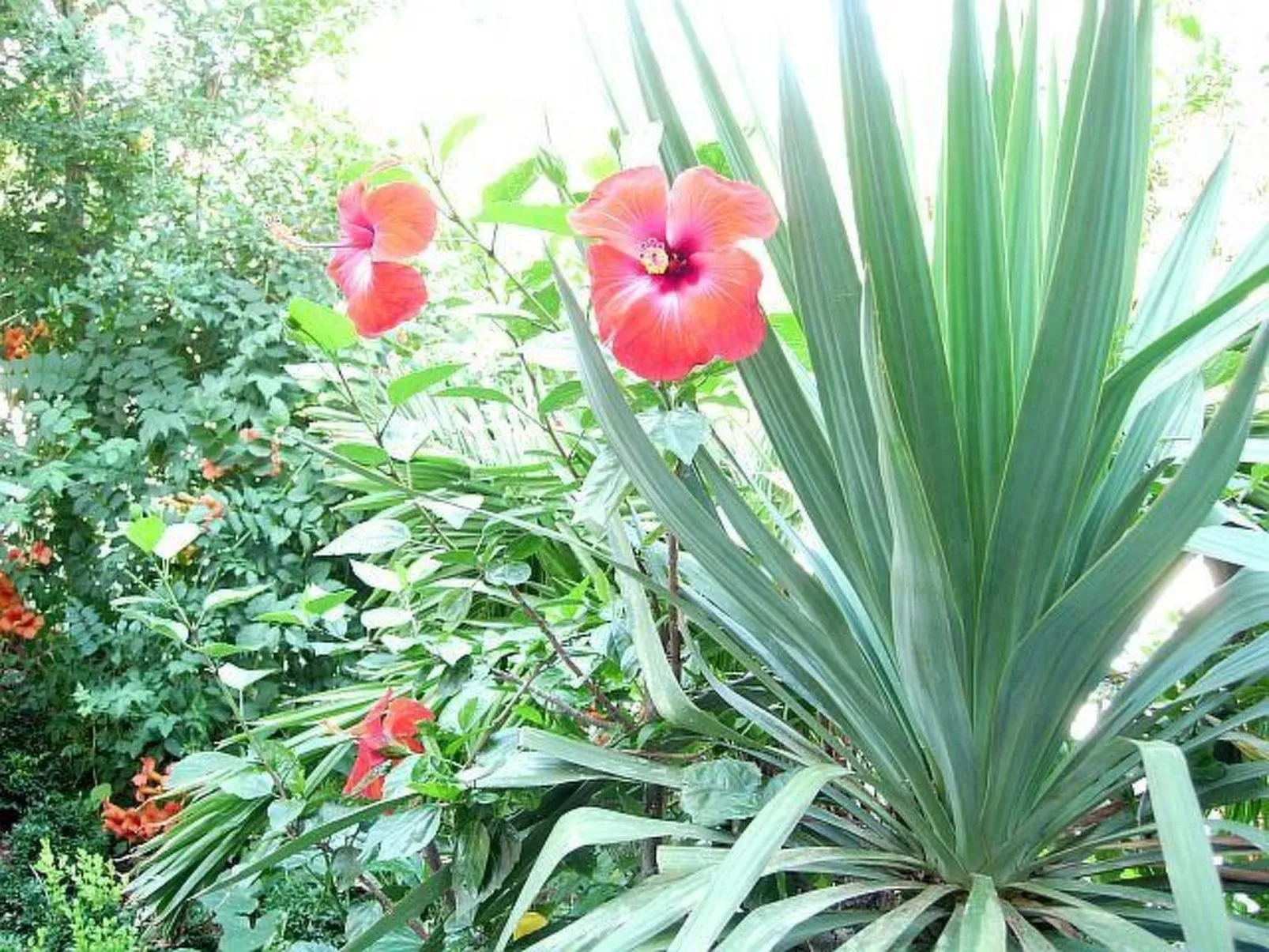 Standardstudio für kleine Familien-Buiten