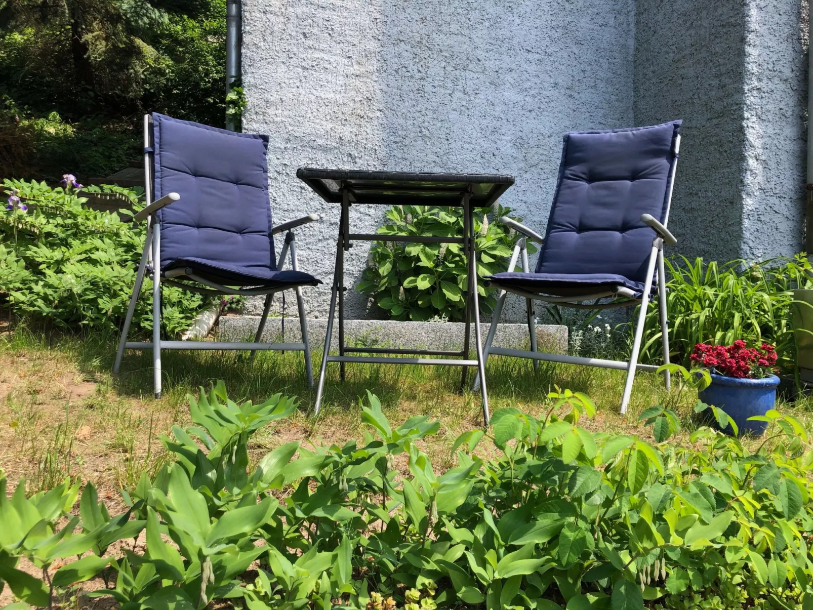 Gemütliche Wohnung in Niederpoyritz mit Garten-Buiten