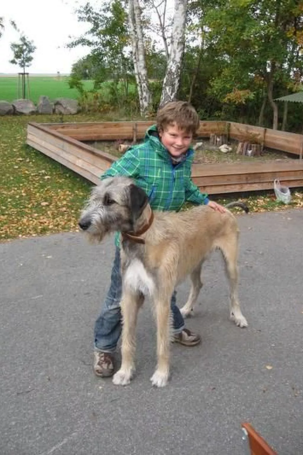 DatTraumhus-Image-tags.info