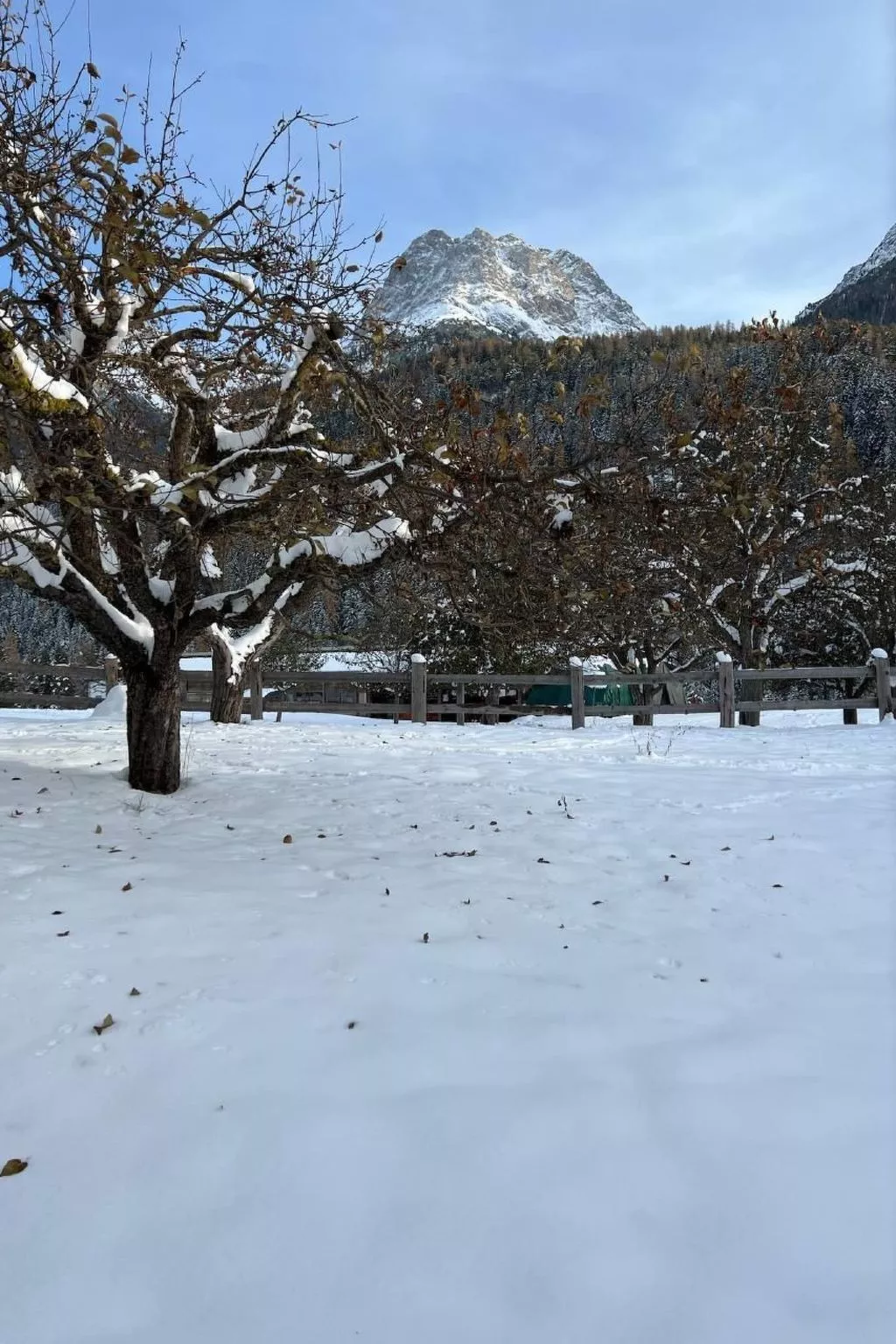 Chasa Stefania-Buiten