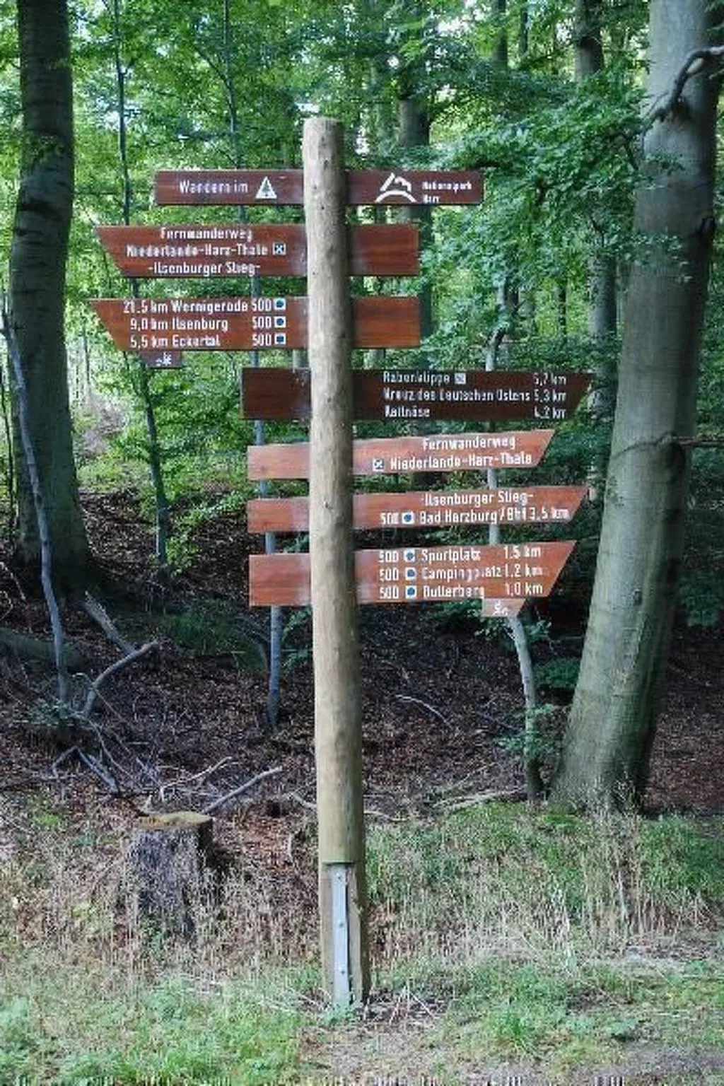 Fewo Burgbergblick-Buiten