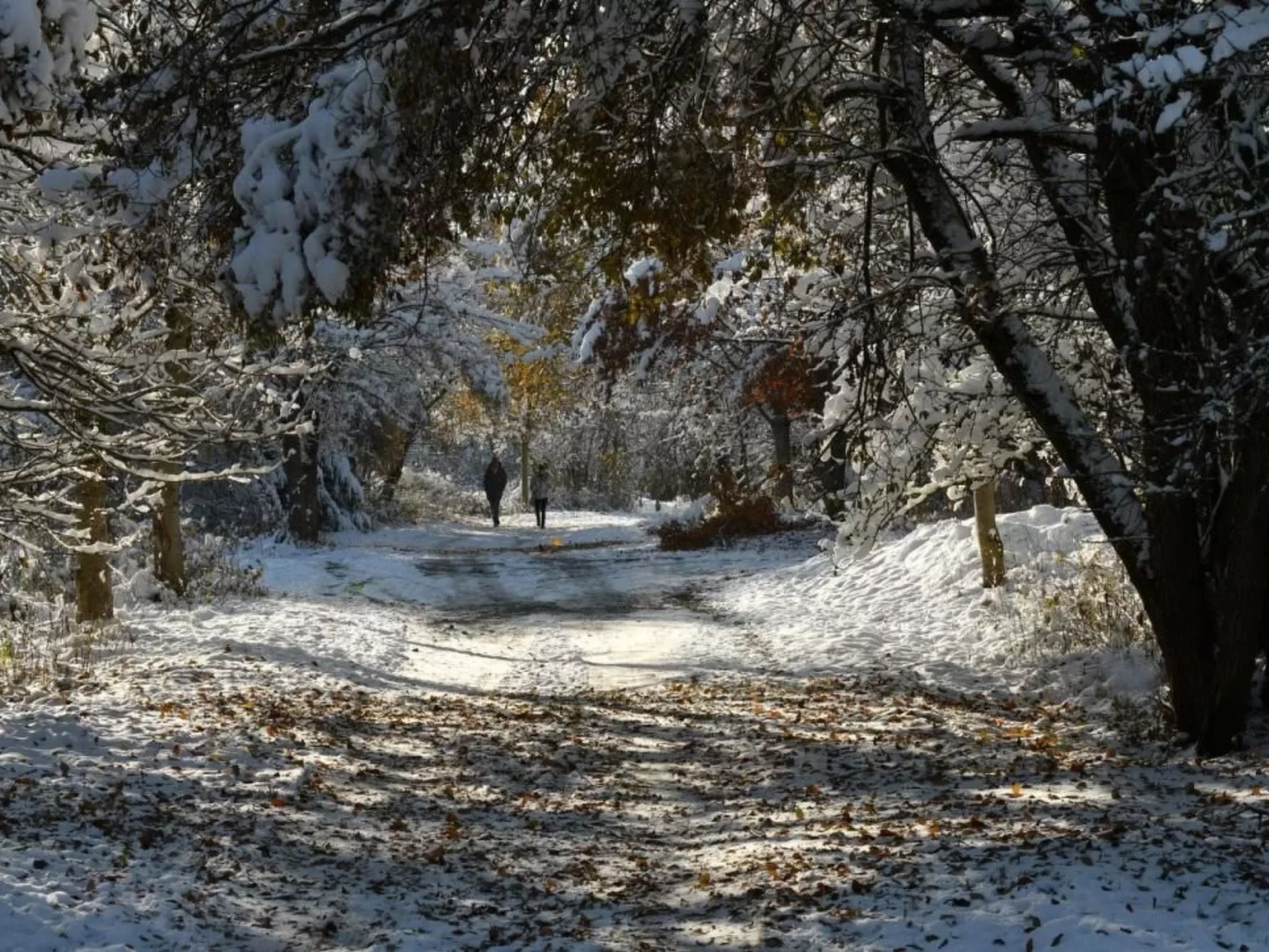 Mit Spielplatz, Garten und Fernsicht-Buiten