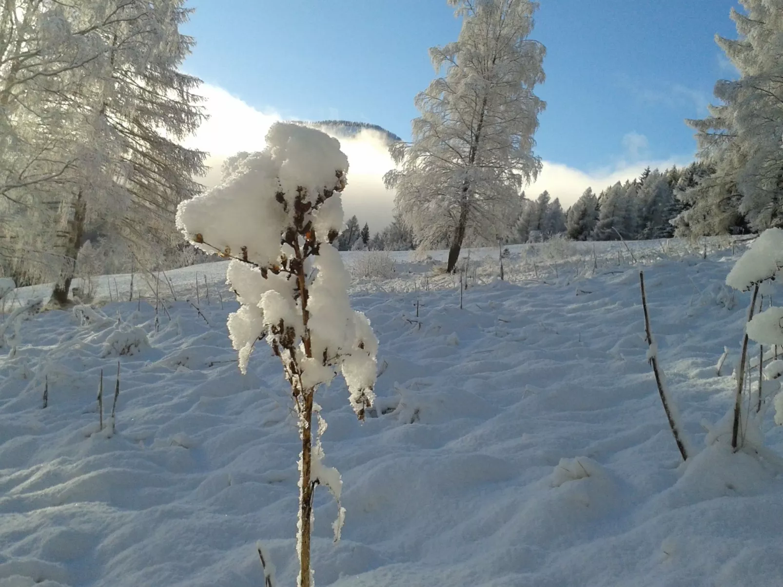 Freistehendes Ferienhaus in idyllischer Lage-Buiten