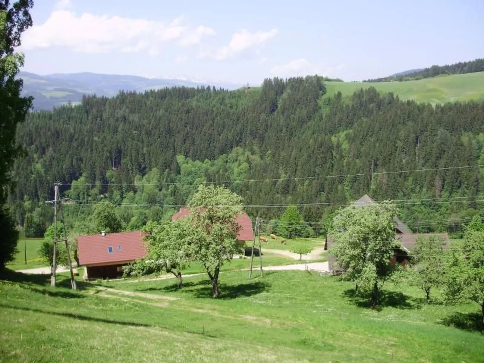 Schmiedbauer Hütt`n-Image-tags.info