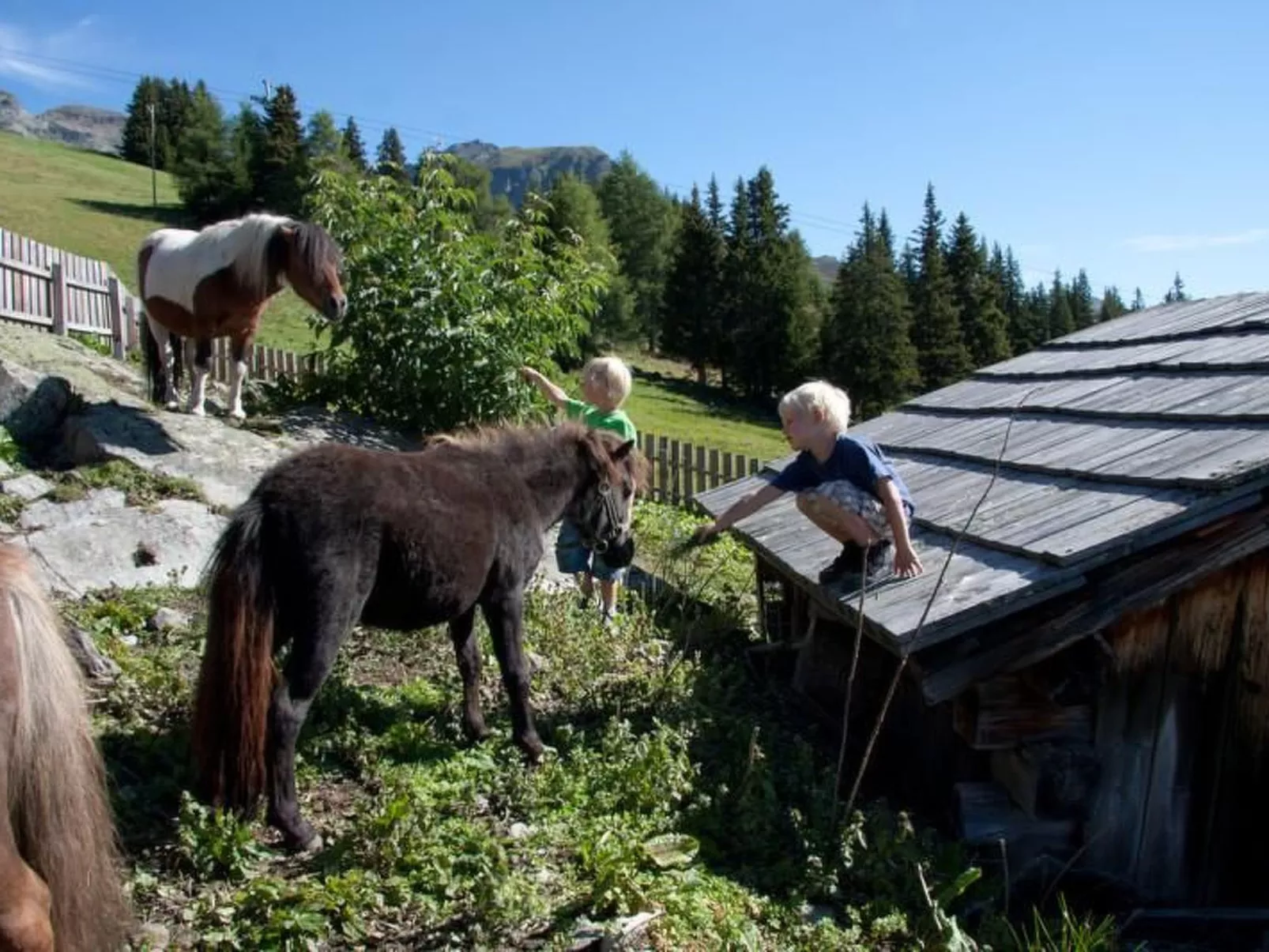 App. Adlerhorst 402-Buiten