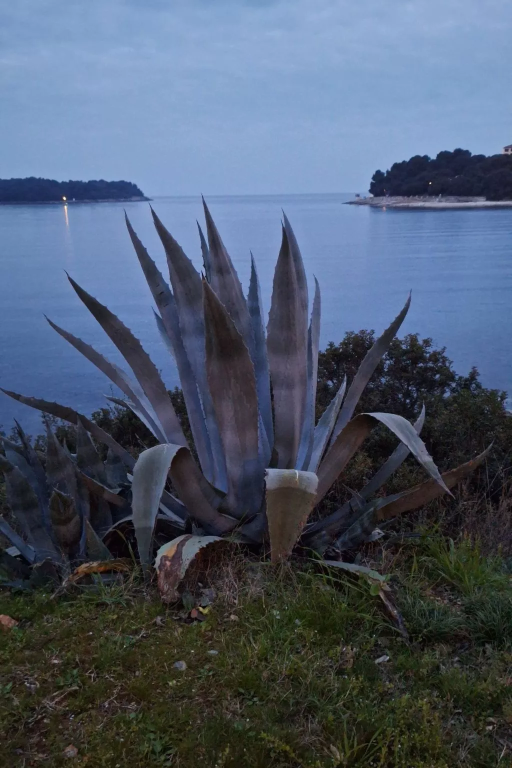Geräumige charmante Wohnung in der Nähe des Meeres-Buiten