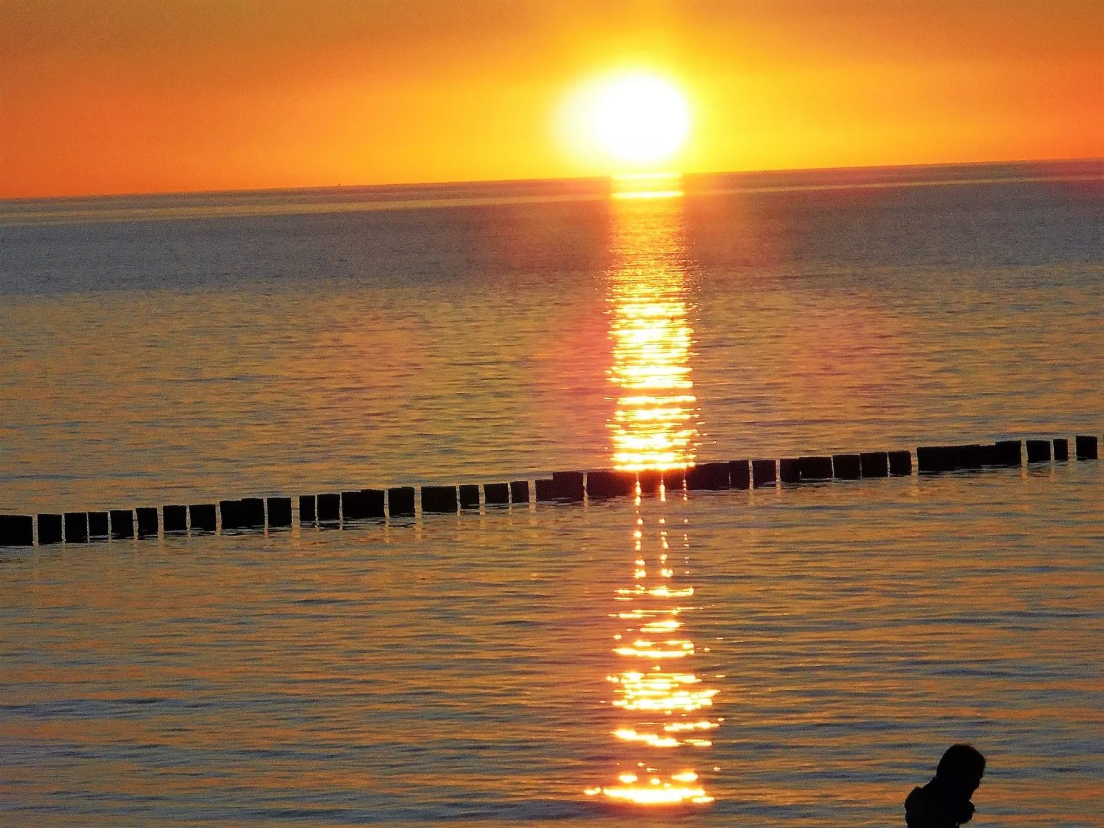Geräumige Ferienwohnung in Zingst mit Terrasse-Buiten