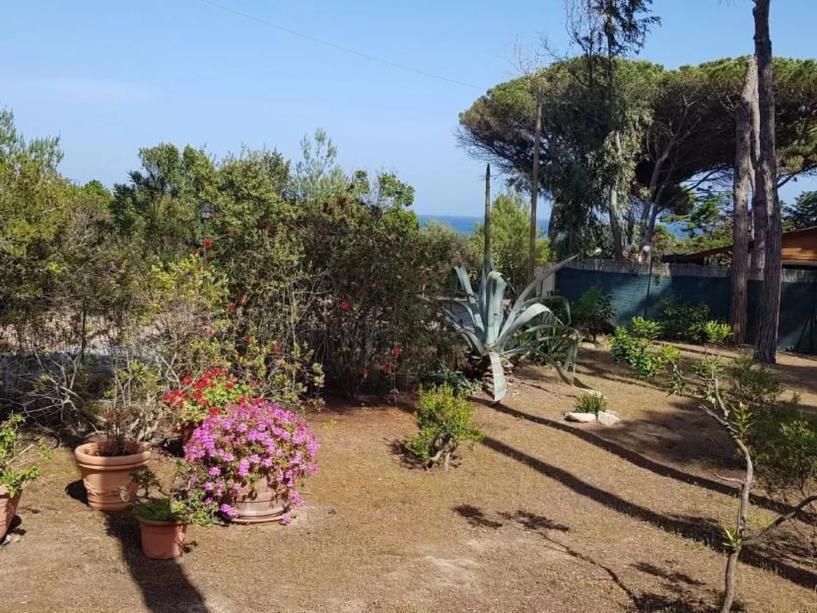 Mare e Pineta-Binnen