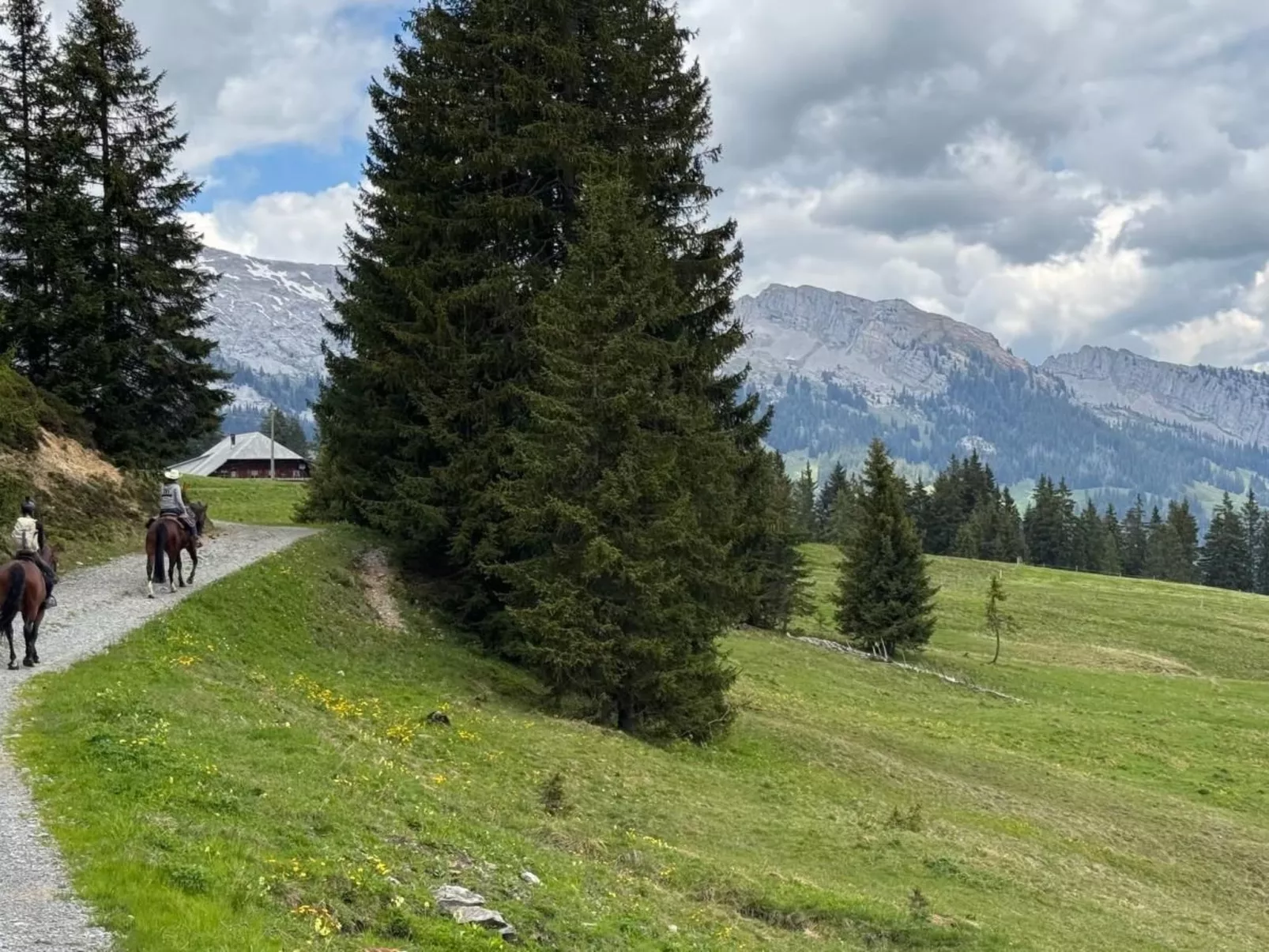 Moderne Ferienwohnung ROTHORN mit 2 Schlafzimmer-Buiten