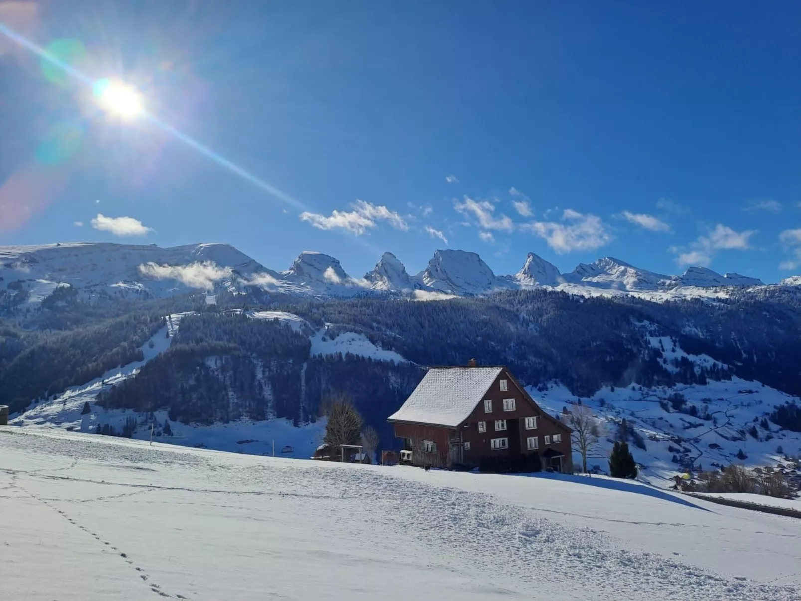 Haldenhof Schwizer-Buiten