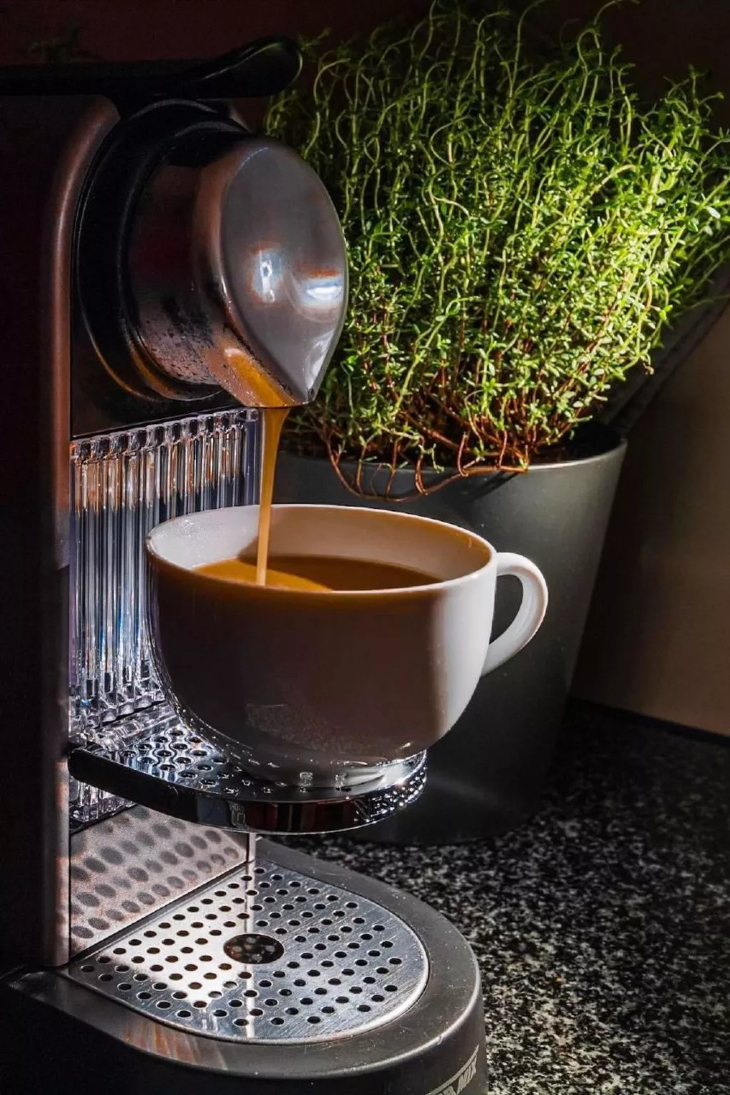 Chalet Raufthubel-Binnen