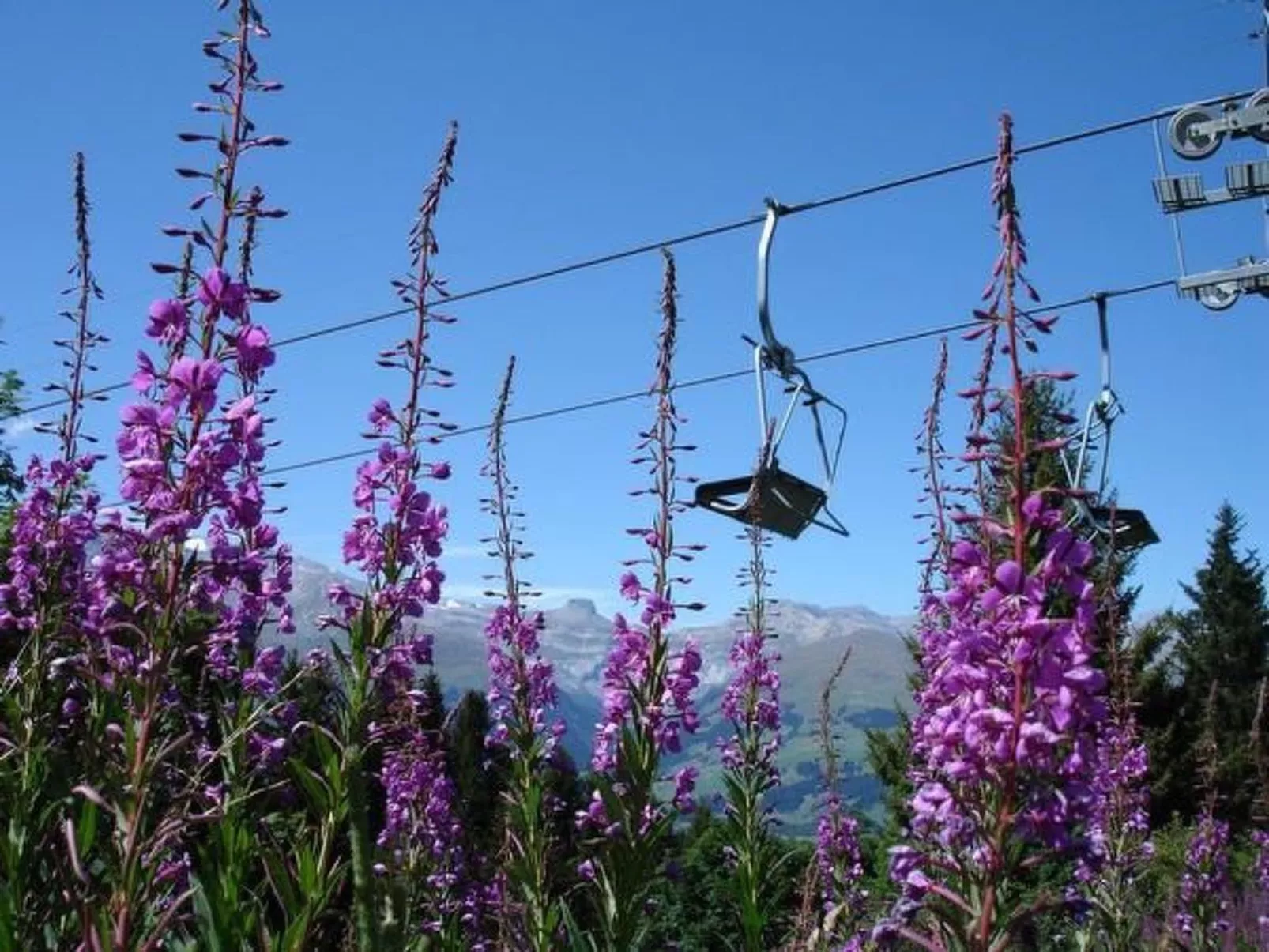 Aparthaus Surselva, direkt an der Skipiste-Buiten