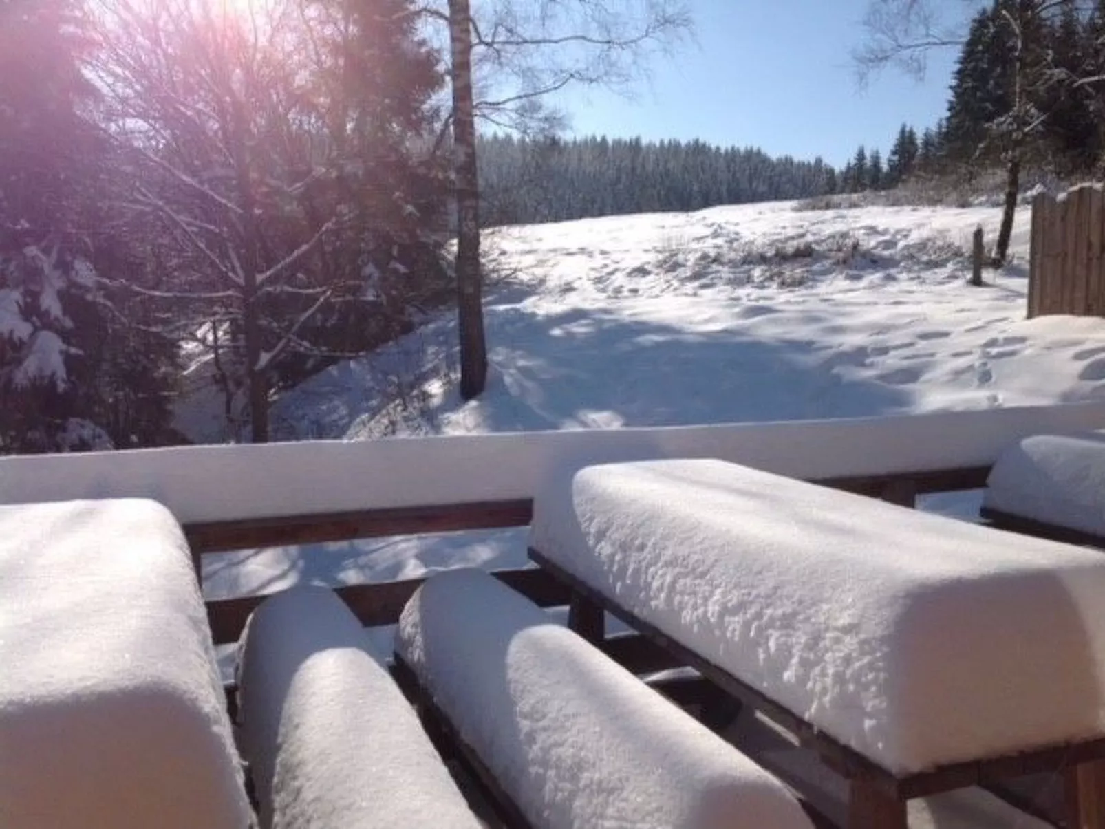 Urgemütliche Gruppenhütte mit Gartensauna-Image-tags.info