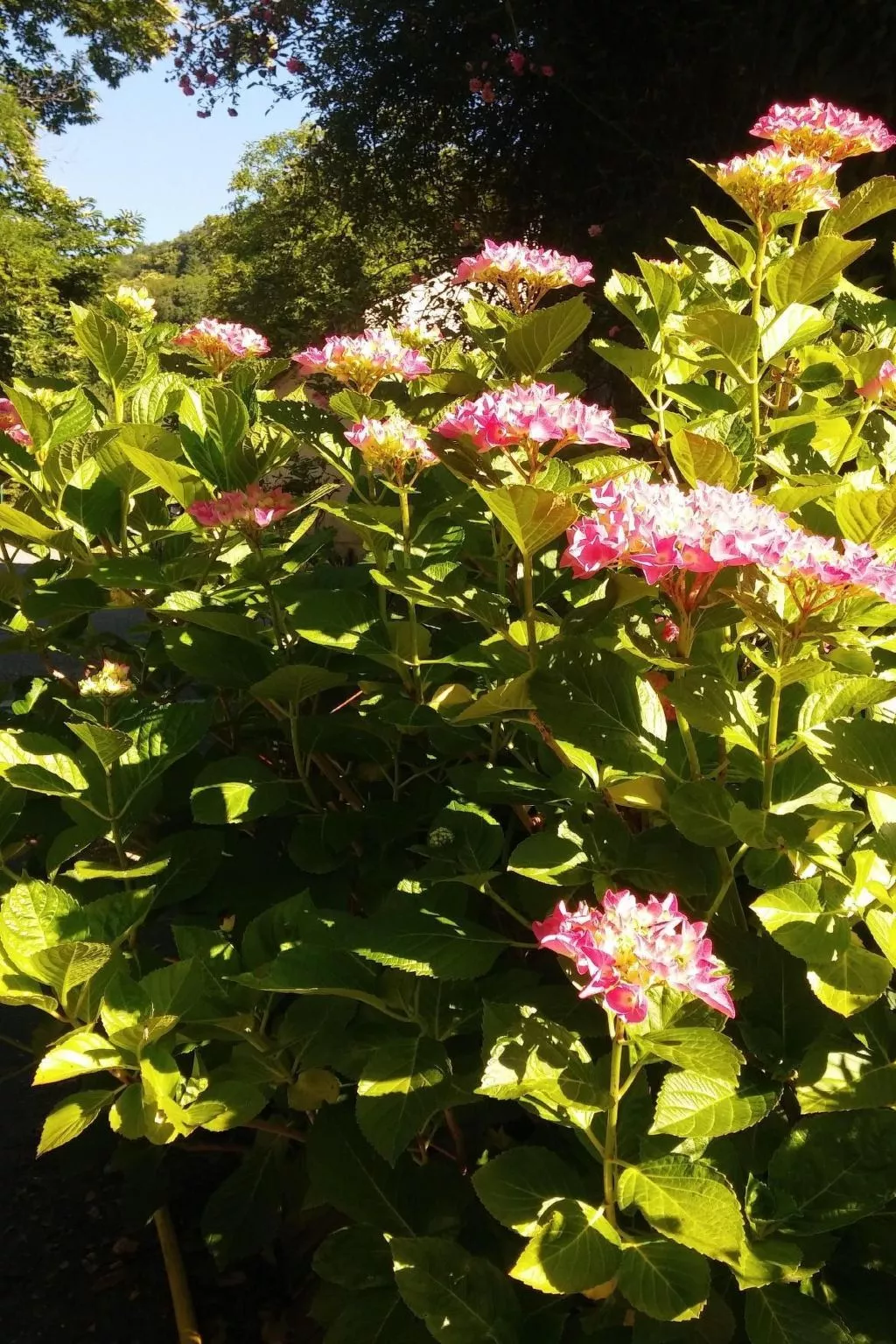 Idealer Erholungsort-Image-tags.info