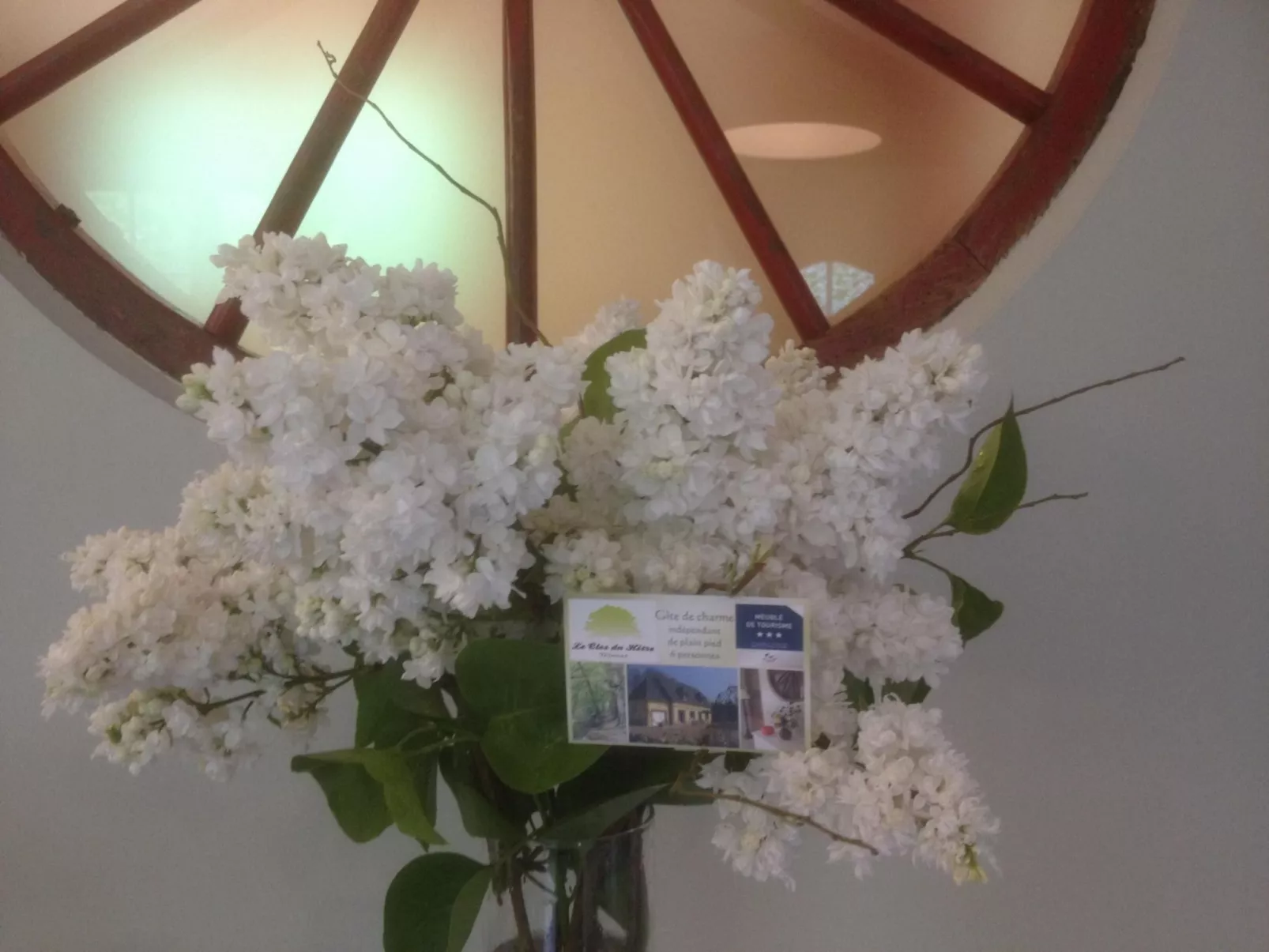 Le Clos du Hêtre-Buiten