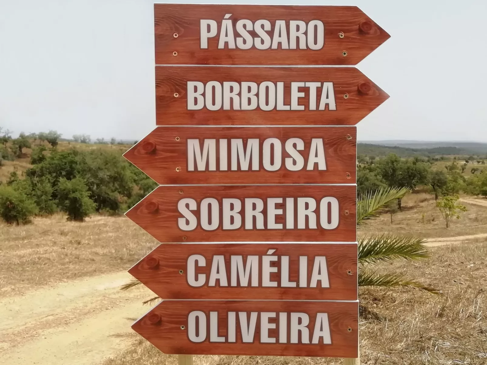 Monte Horizonte Casa Borboleta Öko und Natur-Buiten