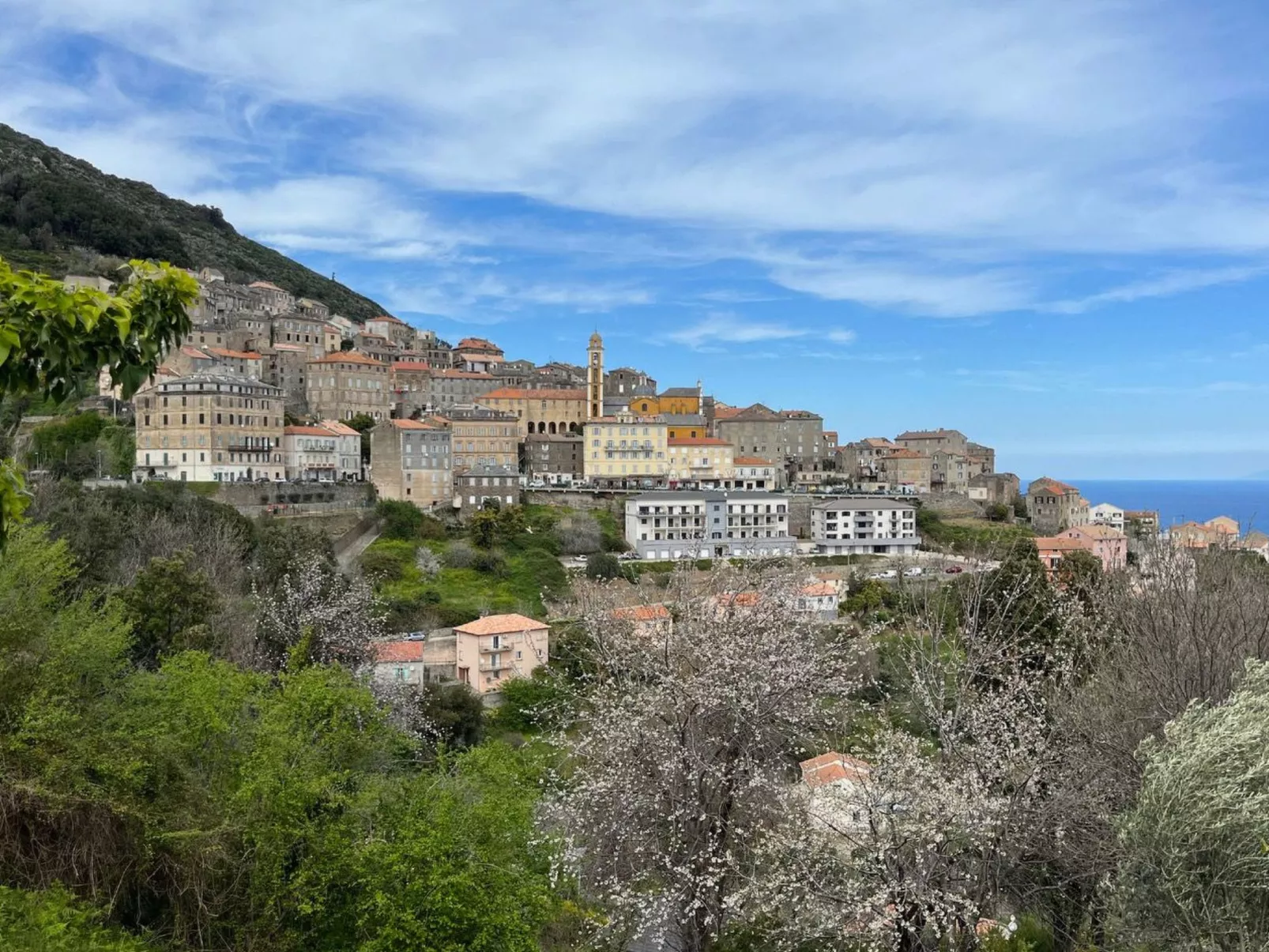 Weingut Punta della Guardia Panorama von Macchia und Meer-Buiten