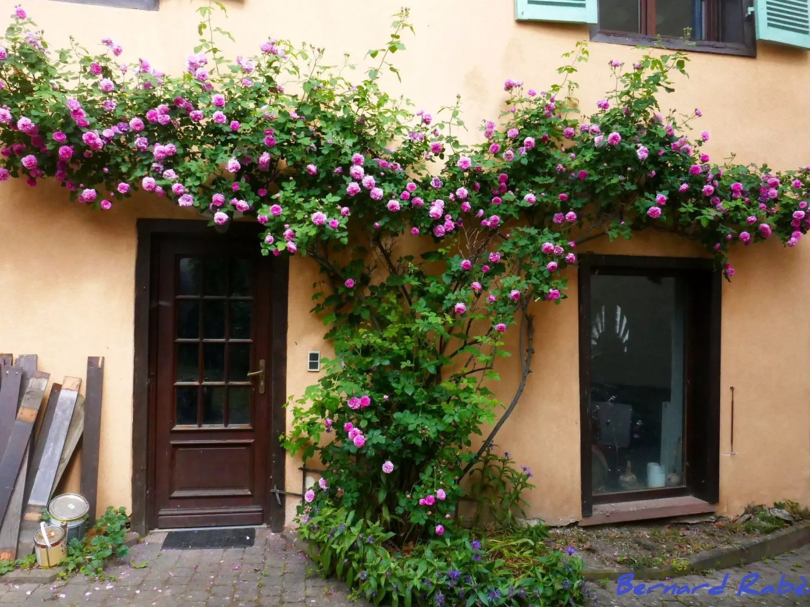 Med-Face Vosges,im Süden,im Herzen der Weinberge,Ruhig,WiFi-Buiten