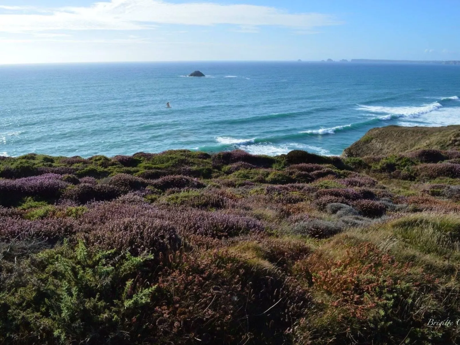 Ferienhaus-Image-tags.info