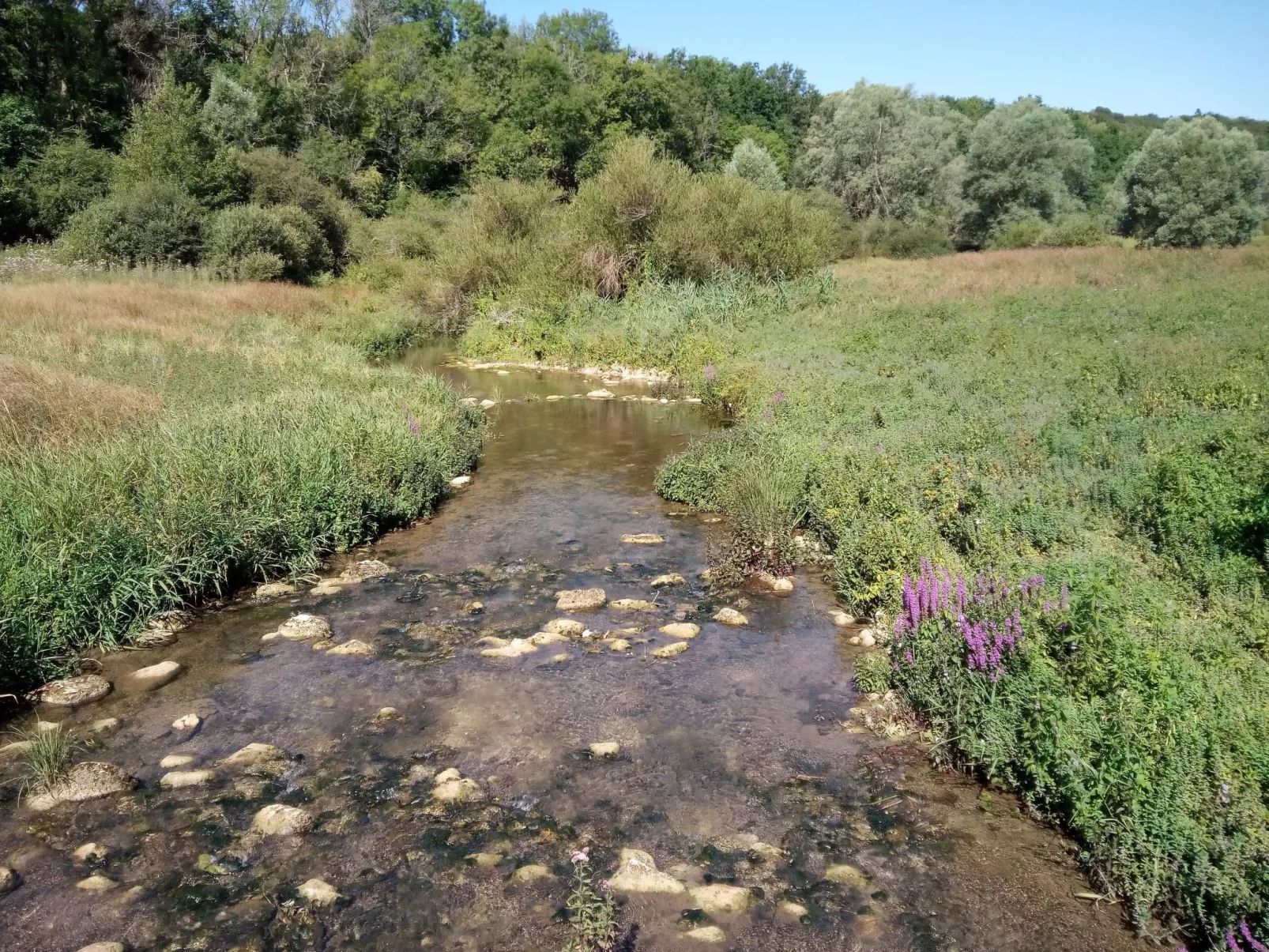In Celles-En-Bassigny  umzäunter Garten-Buiten
