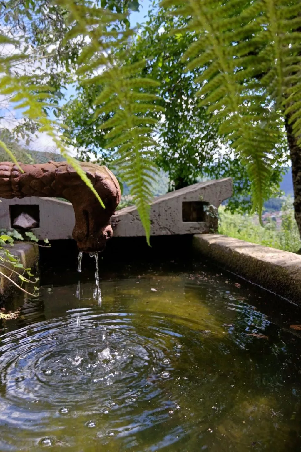 In Ventron mit eingezäuntem Garten-Buiten