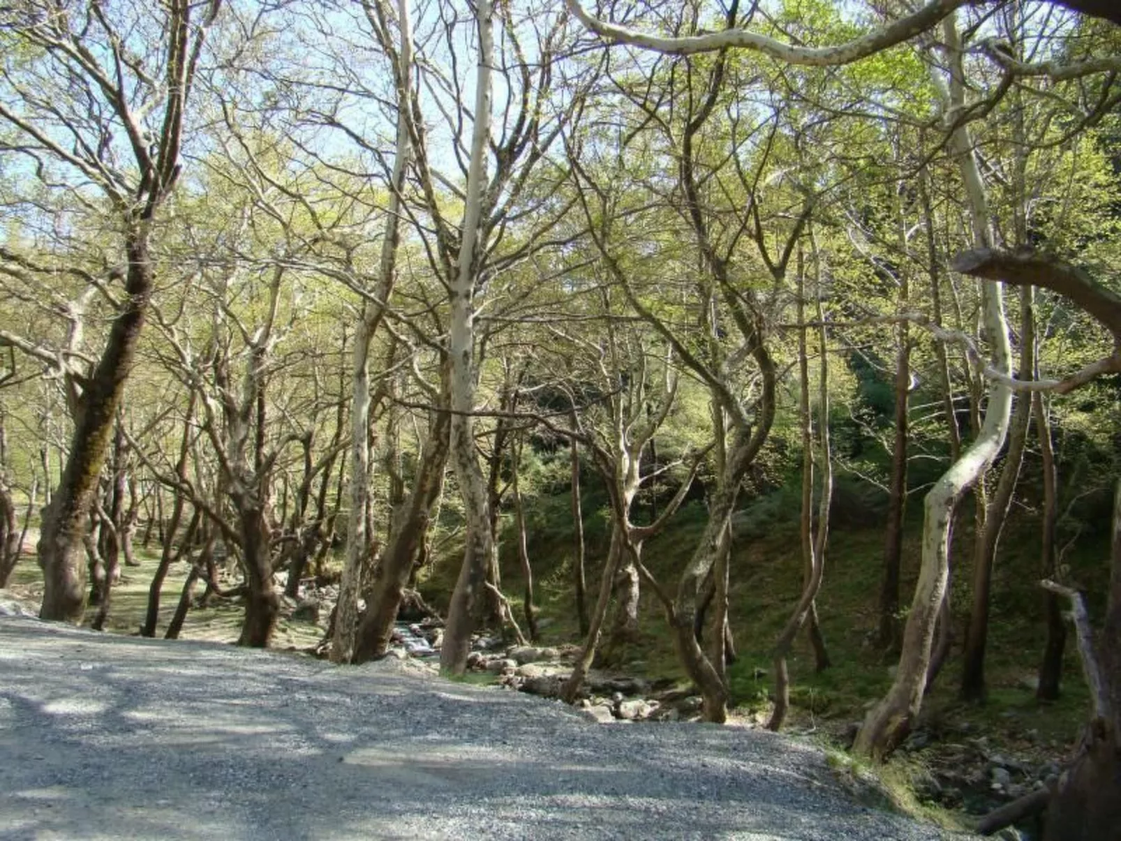 Studio mit Garten-Buiten
