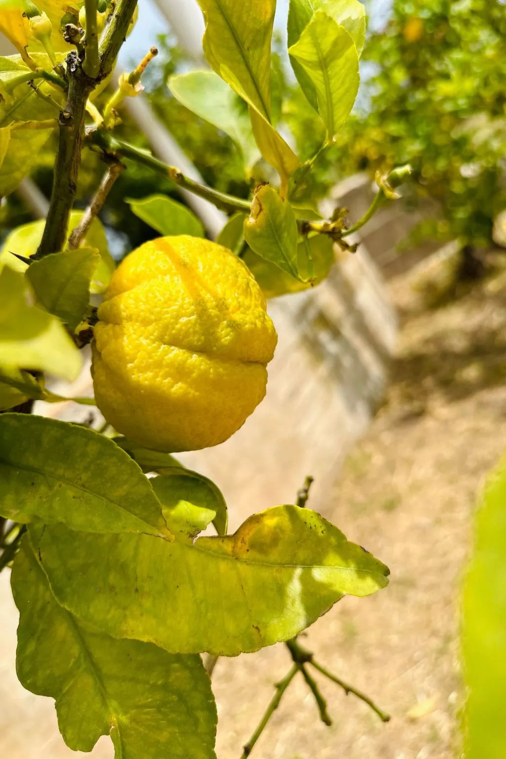 Tanjas Paradise-Buiten