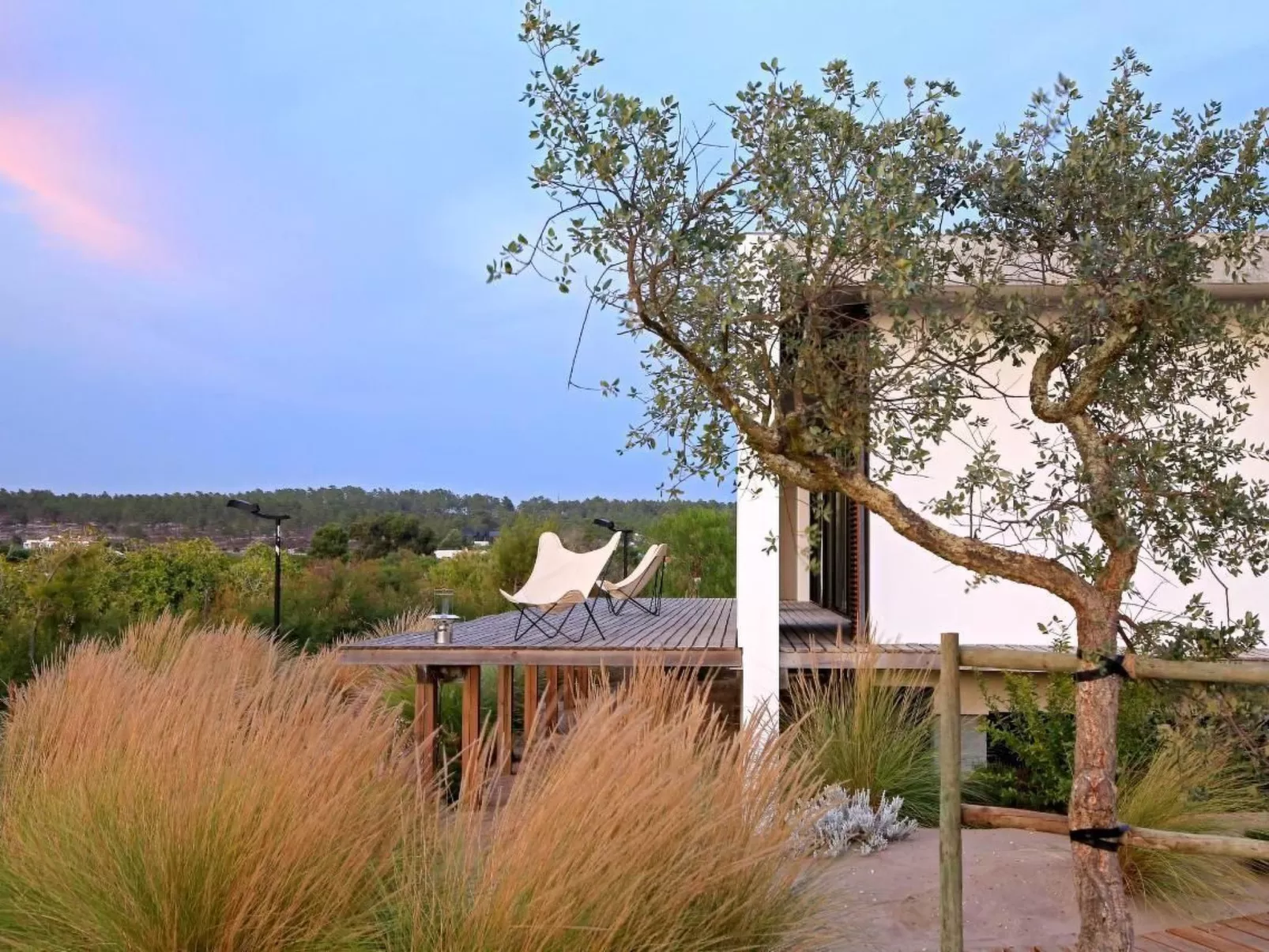 Exklusive Design-Villa in den Dünen, Pool auf dem Dach-Buiten