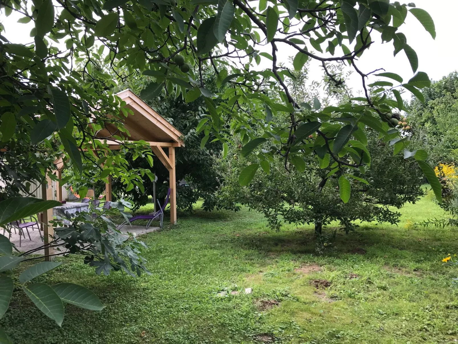 Hungarium am Platte-Buiten