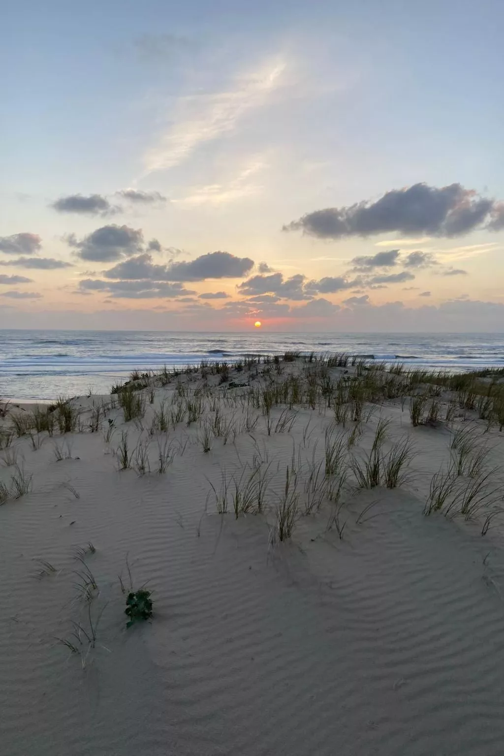 La Maison Pinède-Buiten
