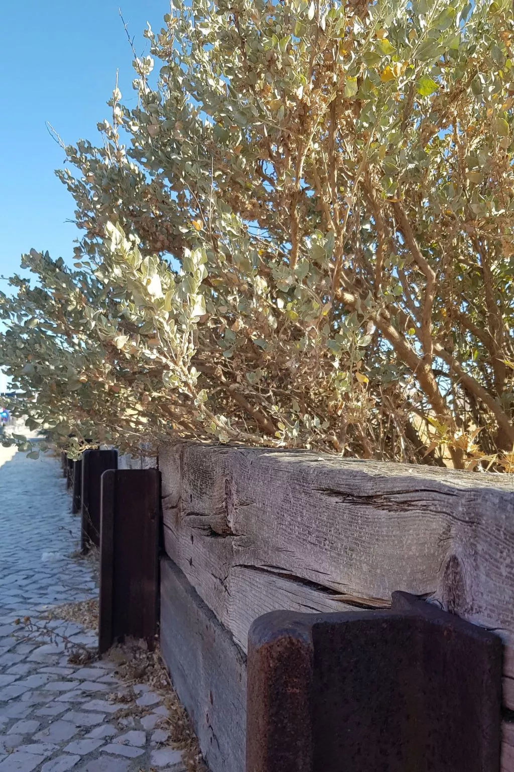 "Estrelinha da Fuzeta"-Buiten