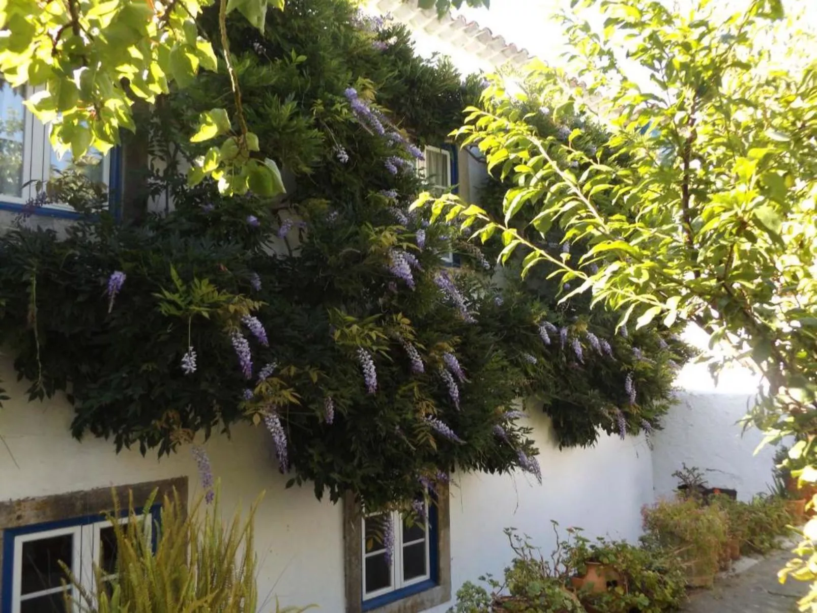 Historisches Haus in der Nähe des historischen Dorfes von Óbidos-Image-tags.info