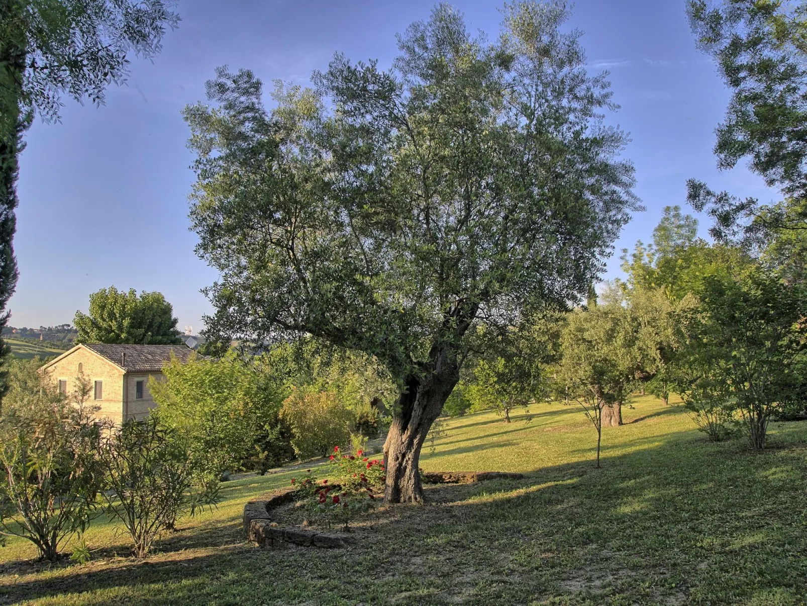 Haus der Musik 270m Veranda, Garten und Pool-Buiten