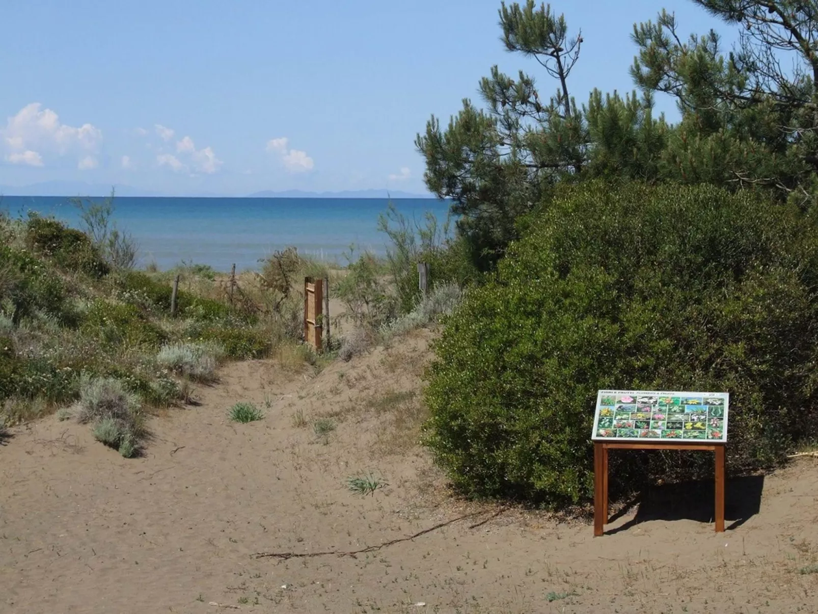 'Azalea' mit Terrasse-Image-tags.info