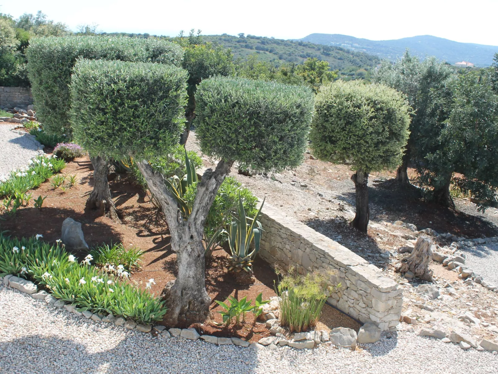 Ferienvilla mit Blick auf das Wasser-Buiten
