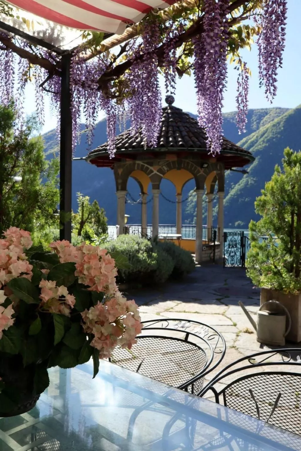 Lavendel-Image-tags.info