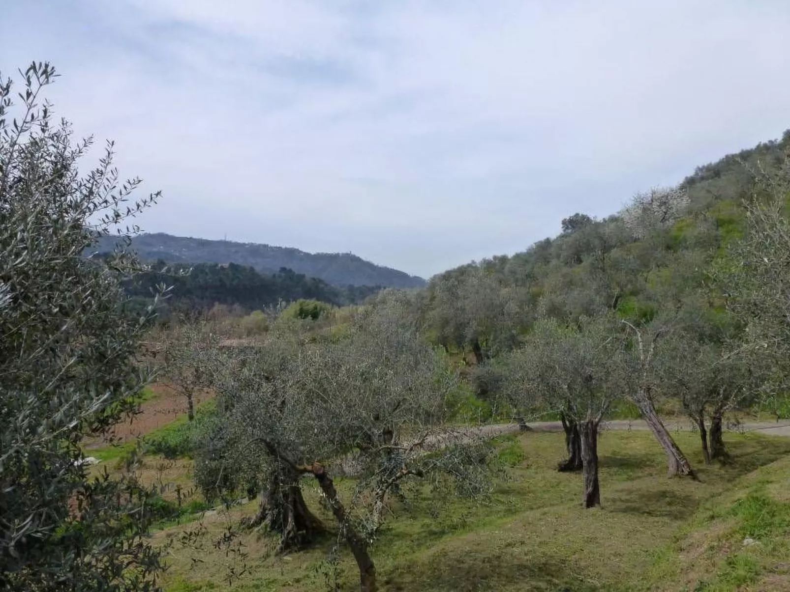 Mit privatem Pool-Image-tags.info